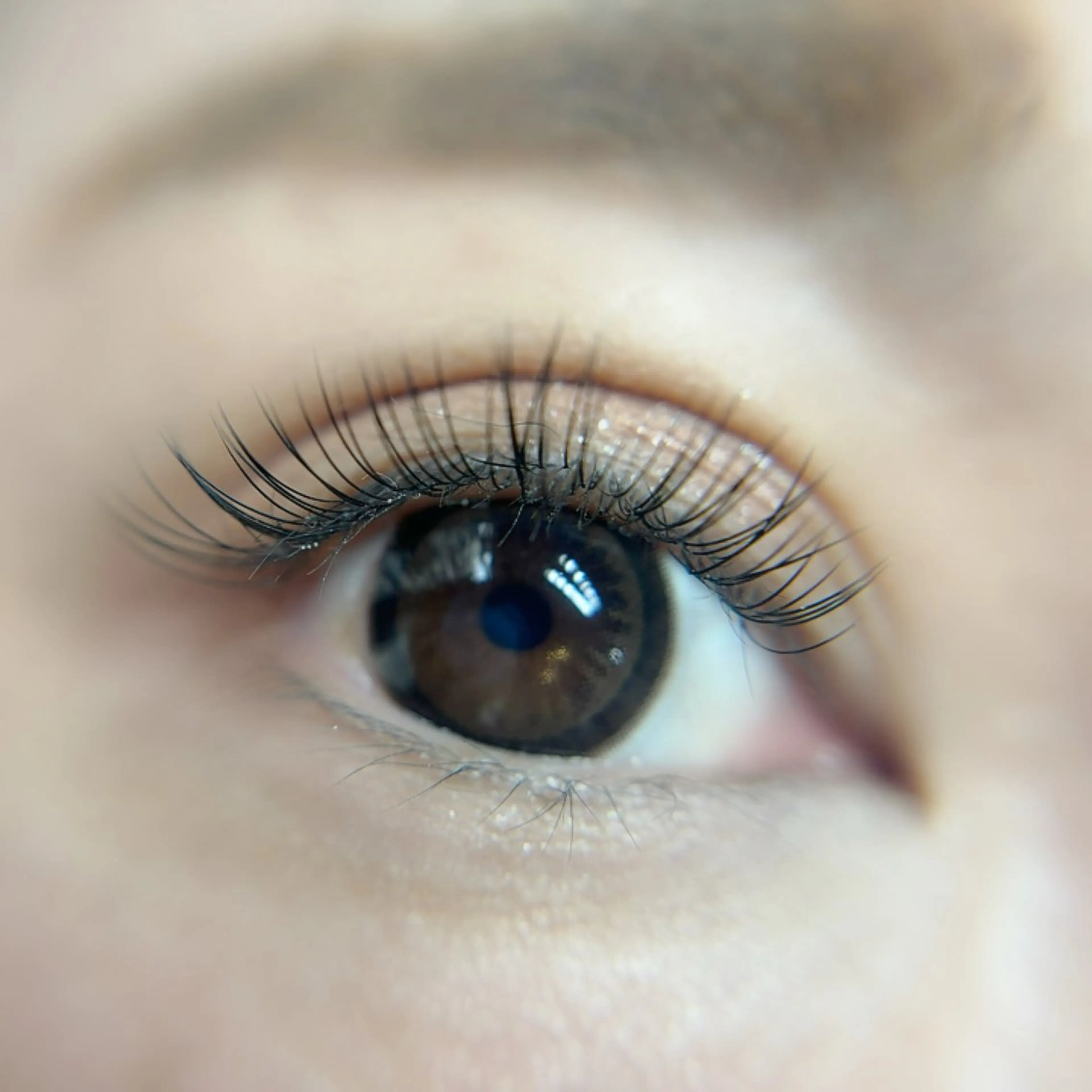 💎フラットラッシュ100本💎《アイシャンプー＆美容液コーティング付》の写真