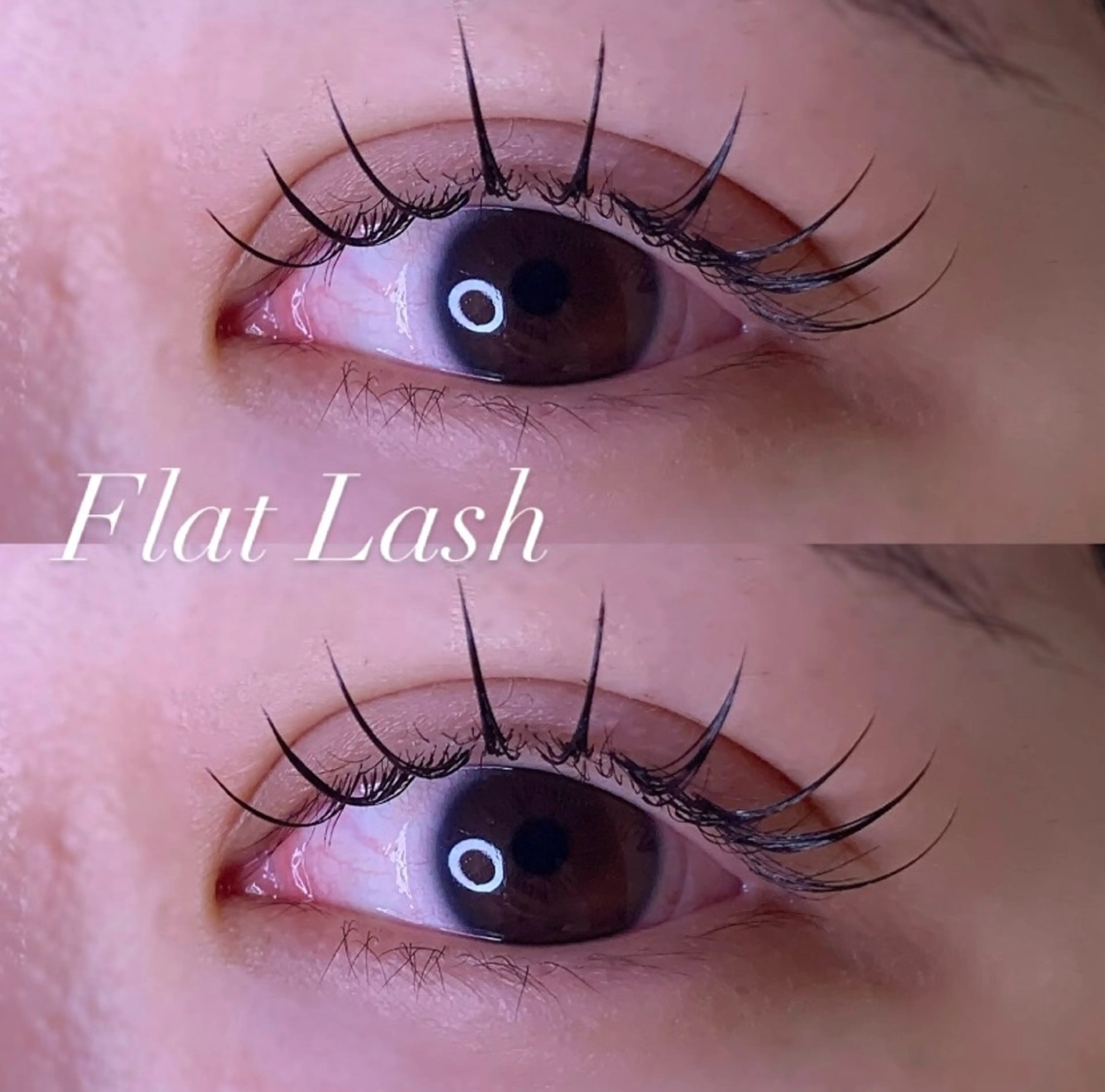 マツエク・マツパ マツエク Ayumi.pro 🍆N《4階》のマツエク・マツパデザイン