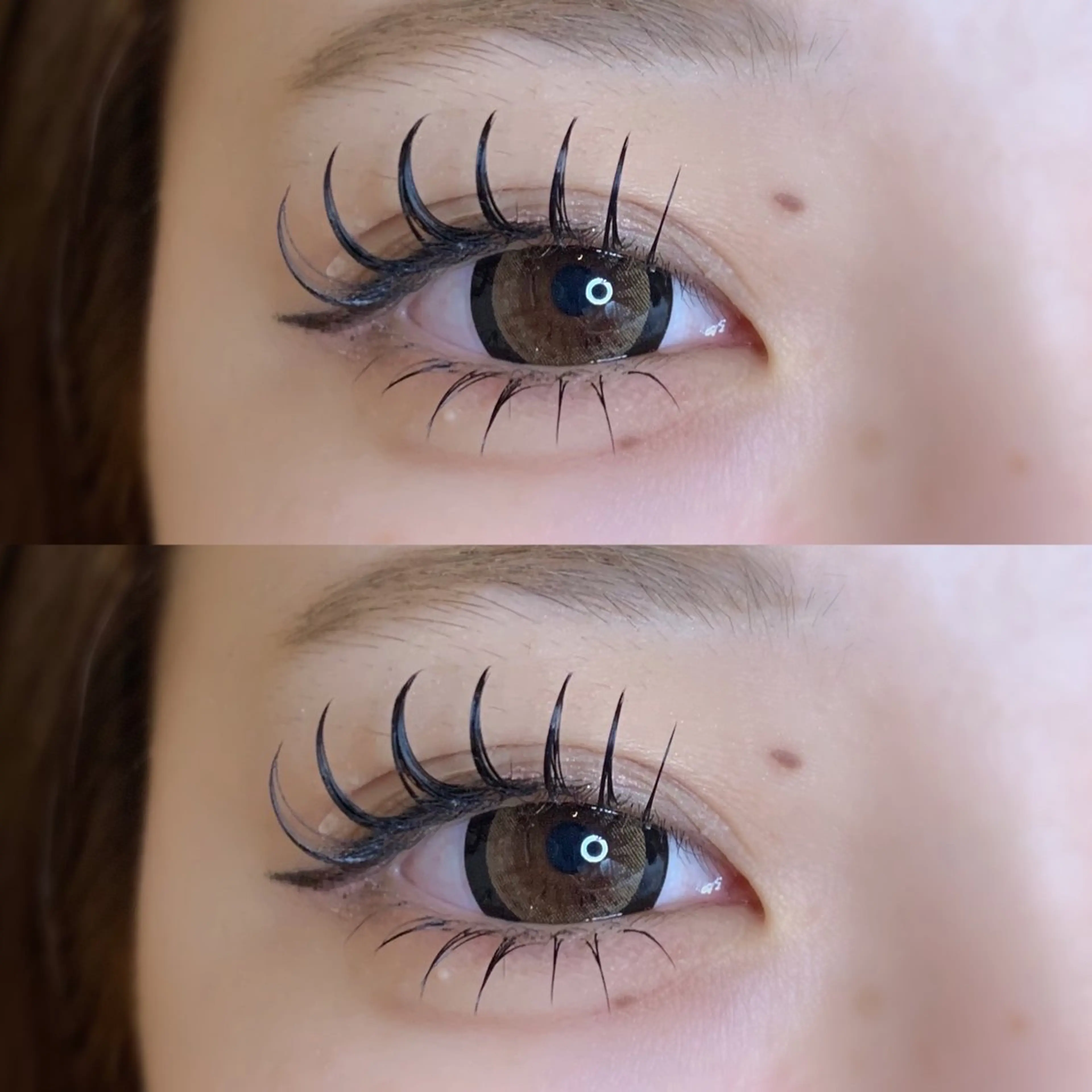 \中顔面短縮効果up/🌷フラットラッシュ上下🌷◉上まつ毛120本◉下まつ毛40本【ある程度濃さ欲しい方おすすめ​〜​】の写真