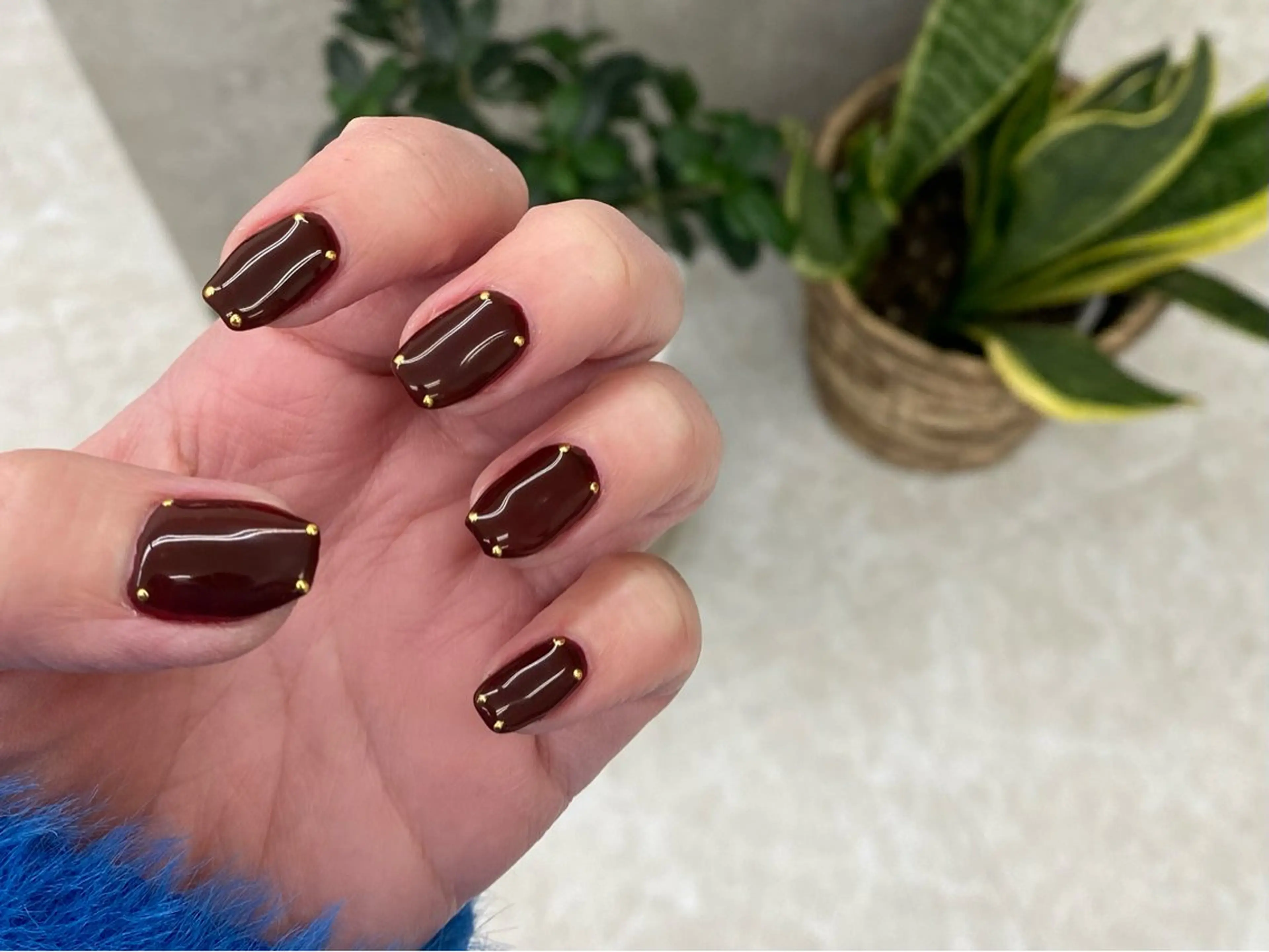 🫧オフない方🫧ワンカラー💅✨の写真