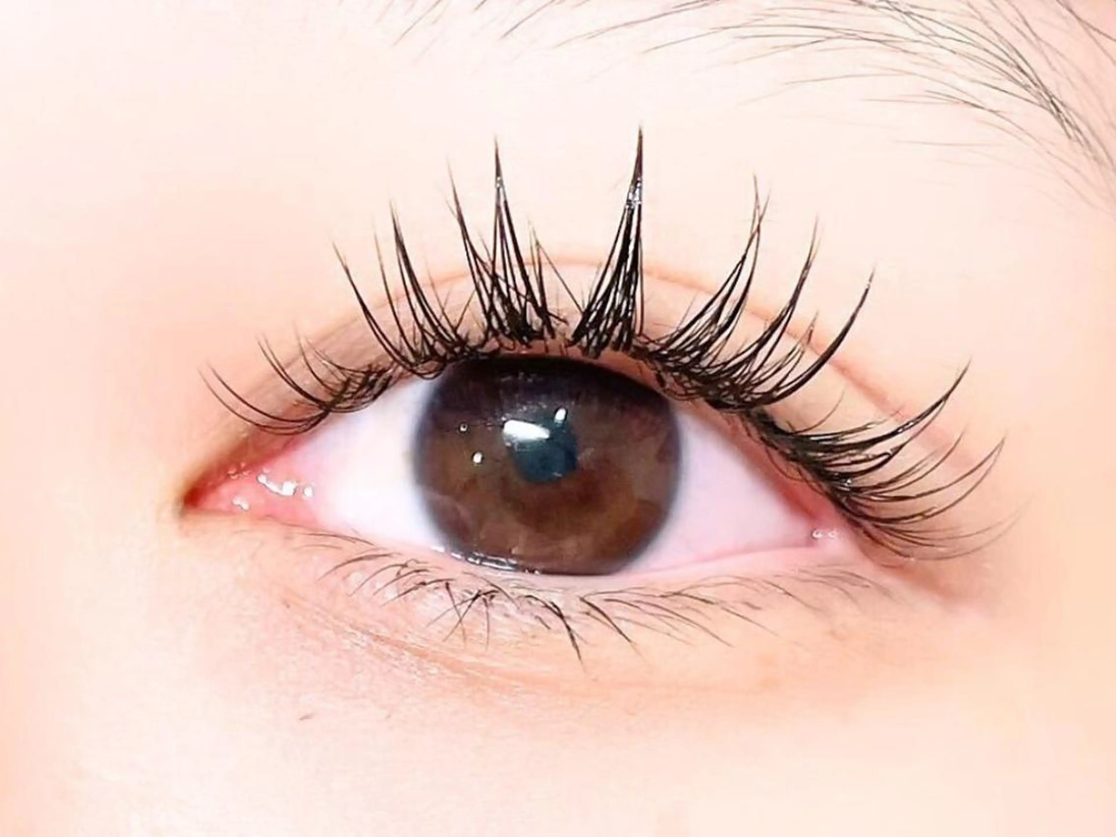 マツエク・マツパ eyeHbe 自由が丘のマツエク・マツパデザイン