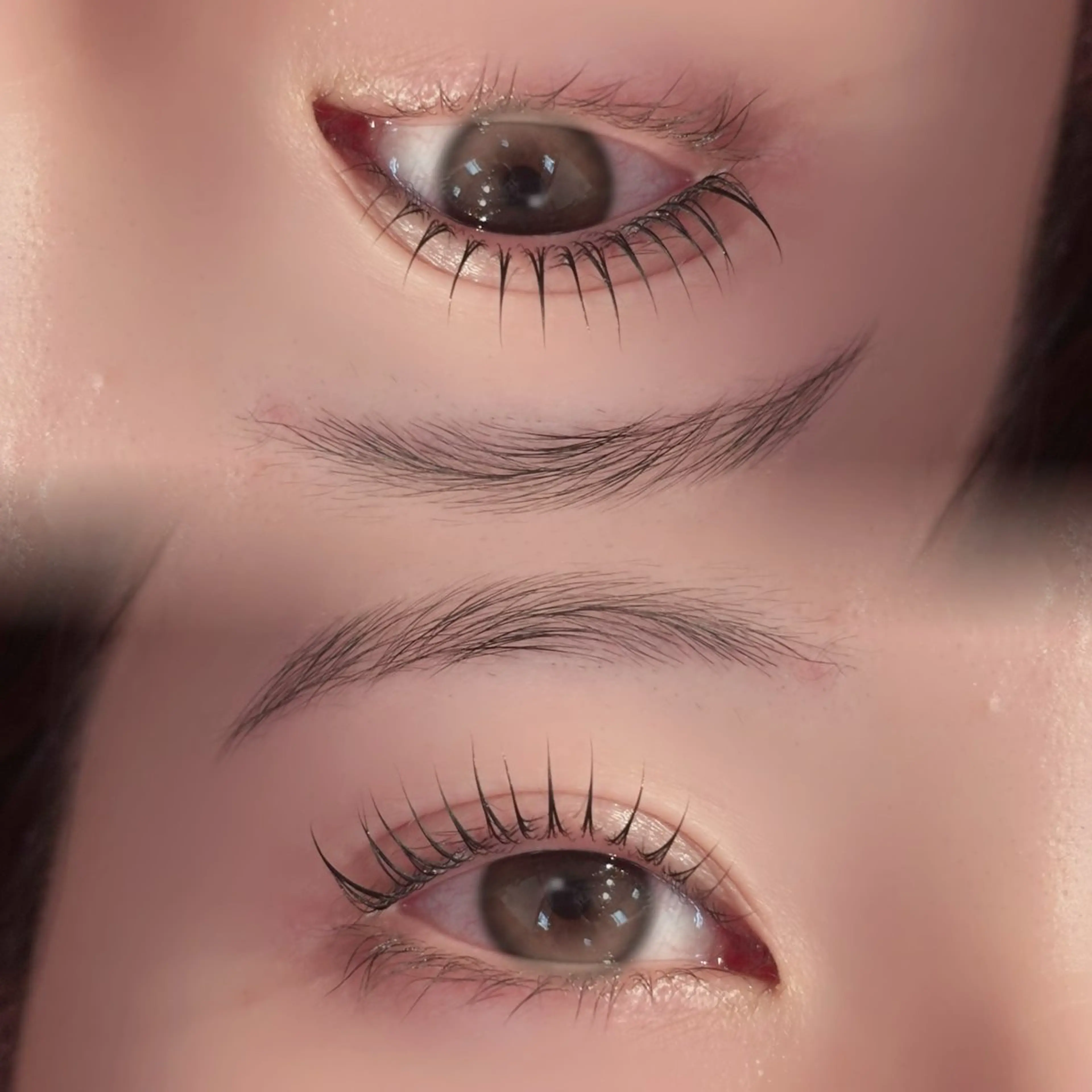 ラッシュリフト×アイブロウWaxの写真