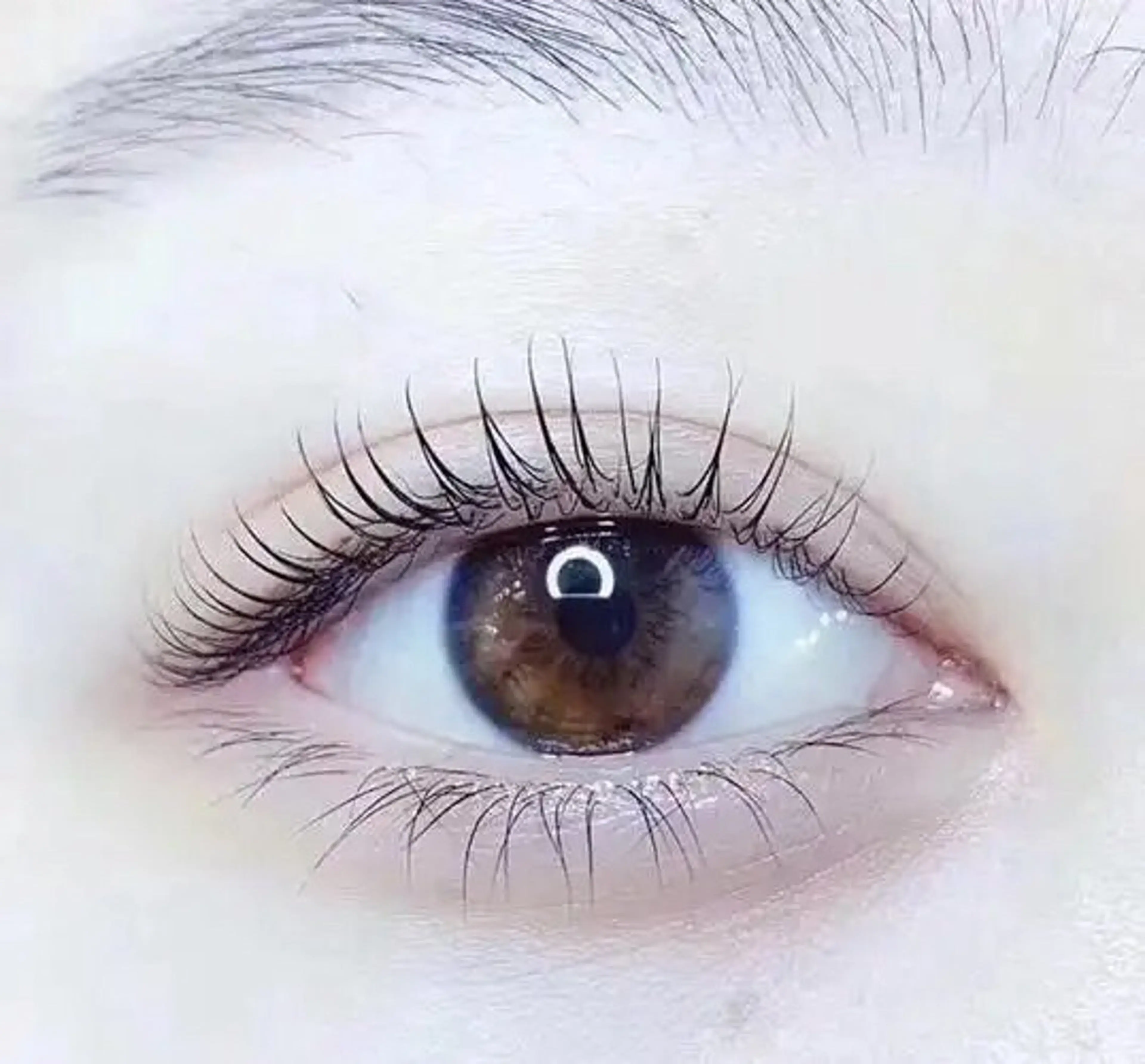 パーマ ミィア テンアイのマツエク・マツパデザイン