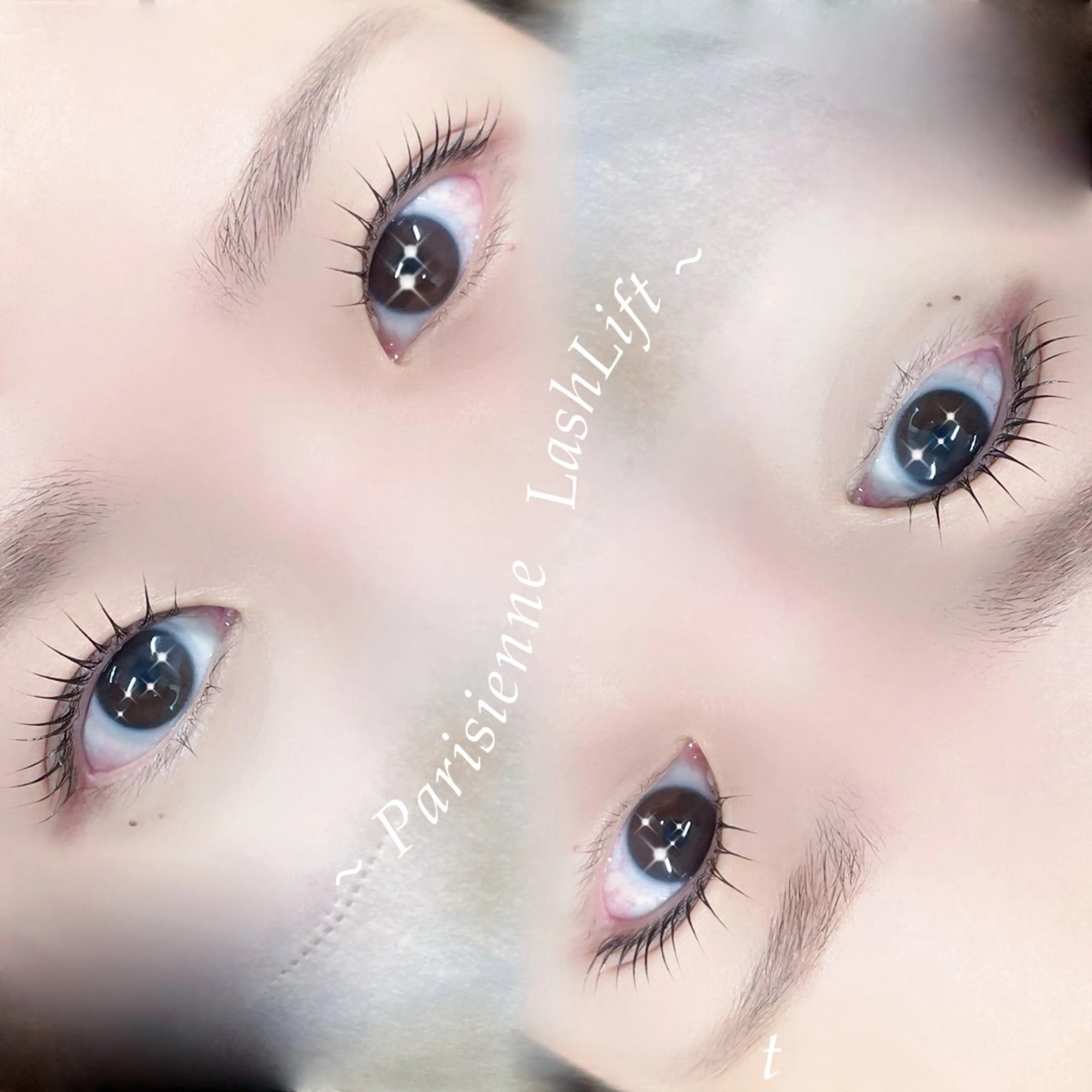 【1日2名様限定♪】パリジェンヌラッシュリフトorまつ毛パーマ/コーティング仕上げ⟡.·の写真