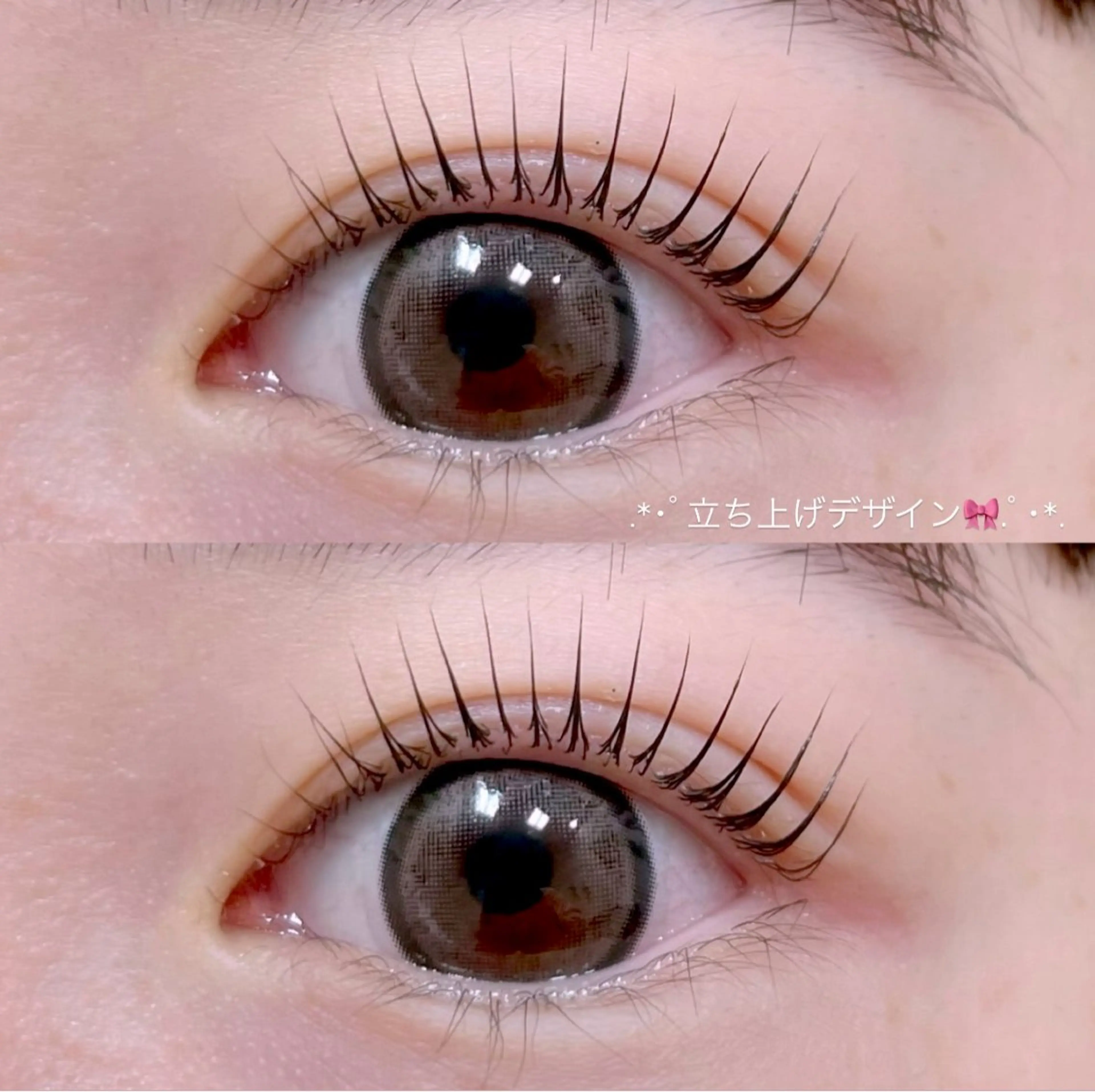 【次世代まつ毛パーマ】パリジェンヌラッシュリフト〈コーティング付〉￥6000＋指名料¥300の写真