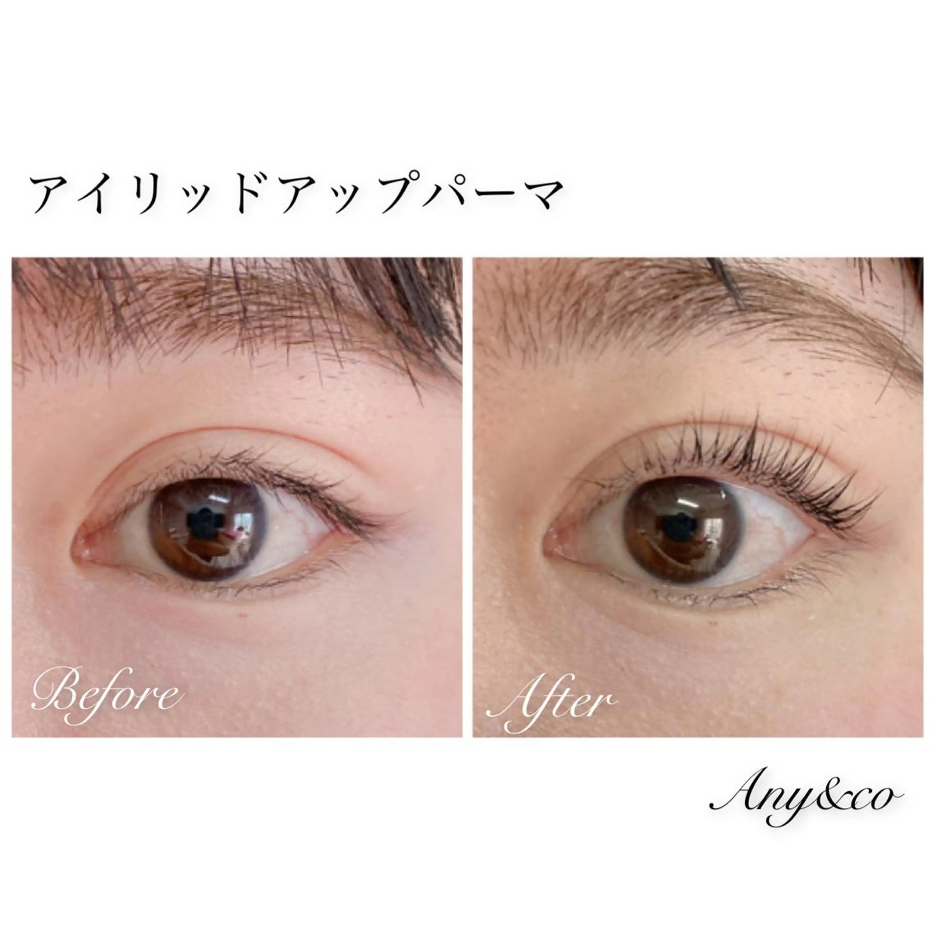 マツエク・マツパ アイリッドアップパーマ Any&co 【エニコ】のマツエク・マツパデザイン