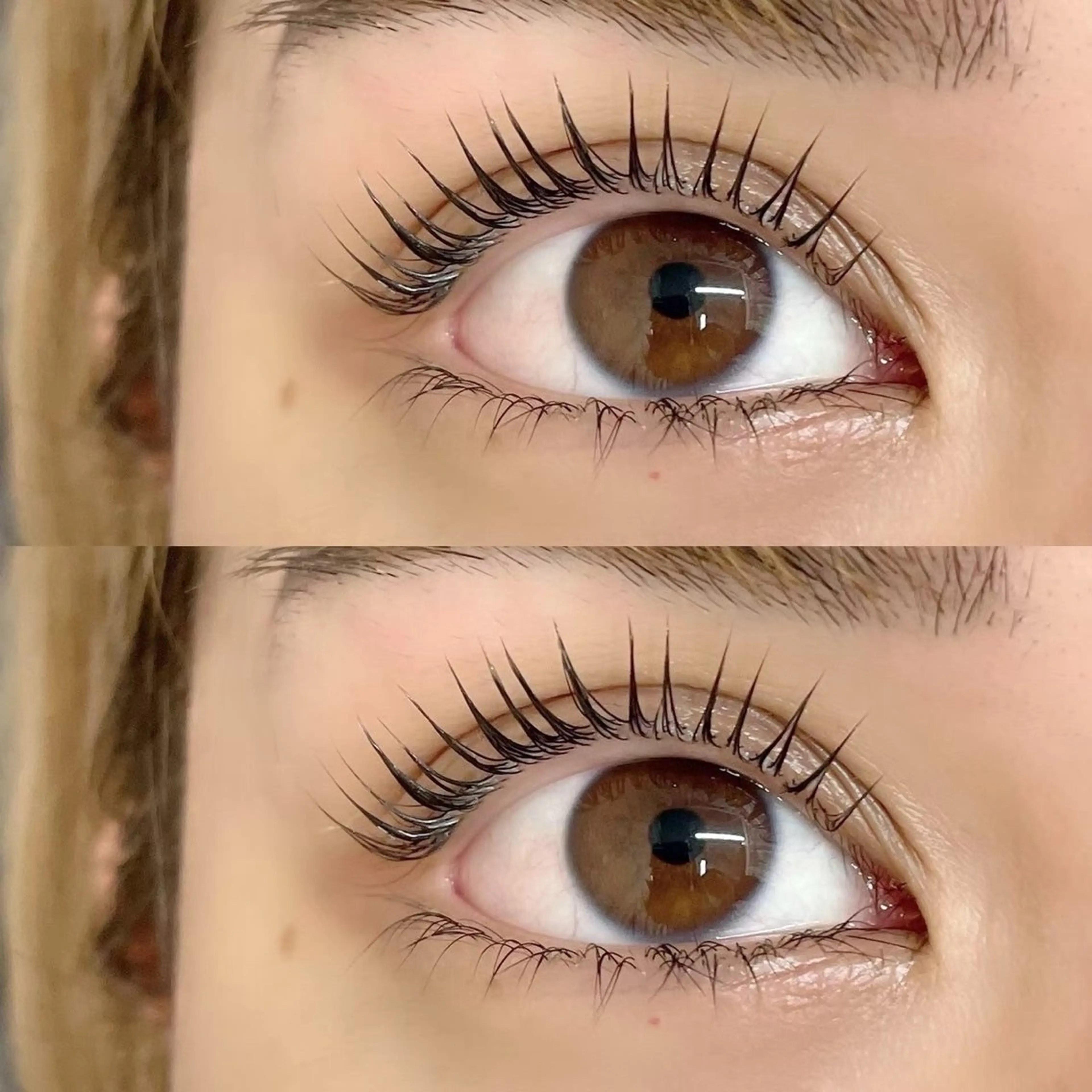 まつげパーマ 上 🎀 コーティング仕上げ付き 🎀の写真