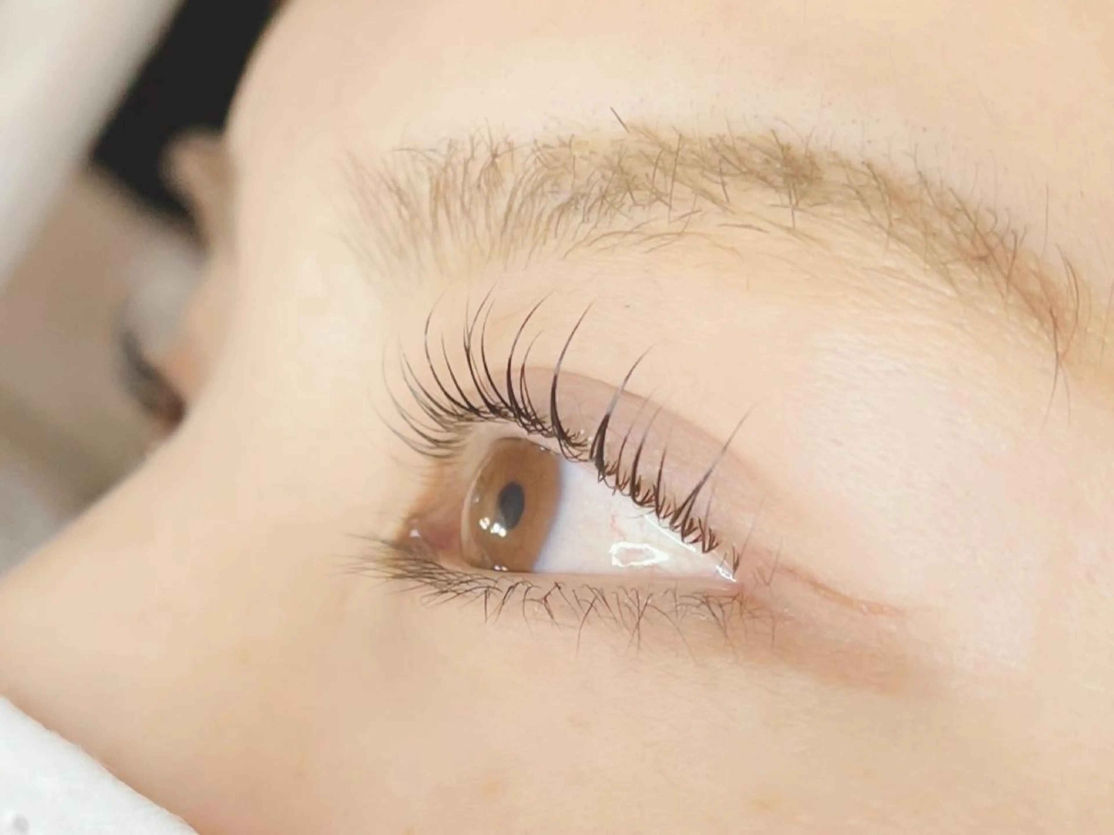 マツエク・マツパ 《eyelash ｉｉｔｅ》森のマツエク・マツパデザイン