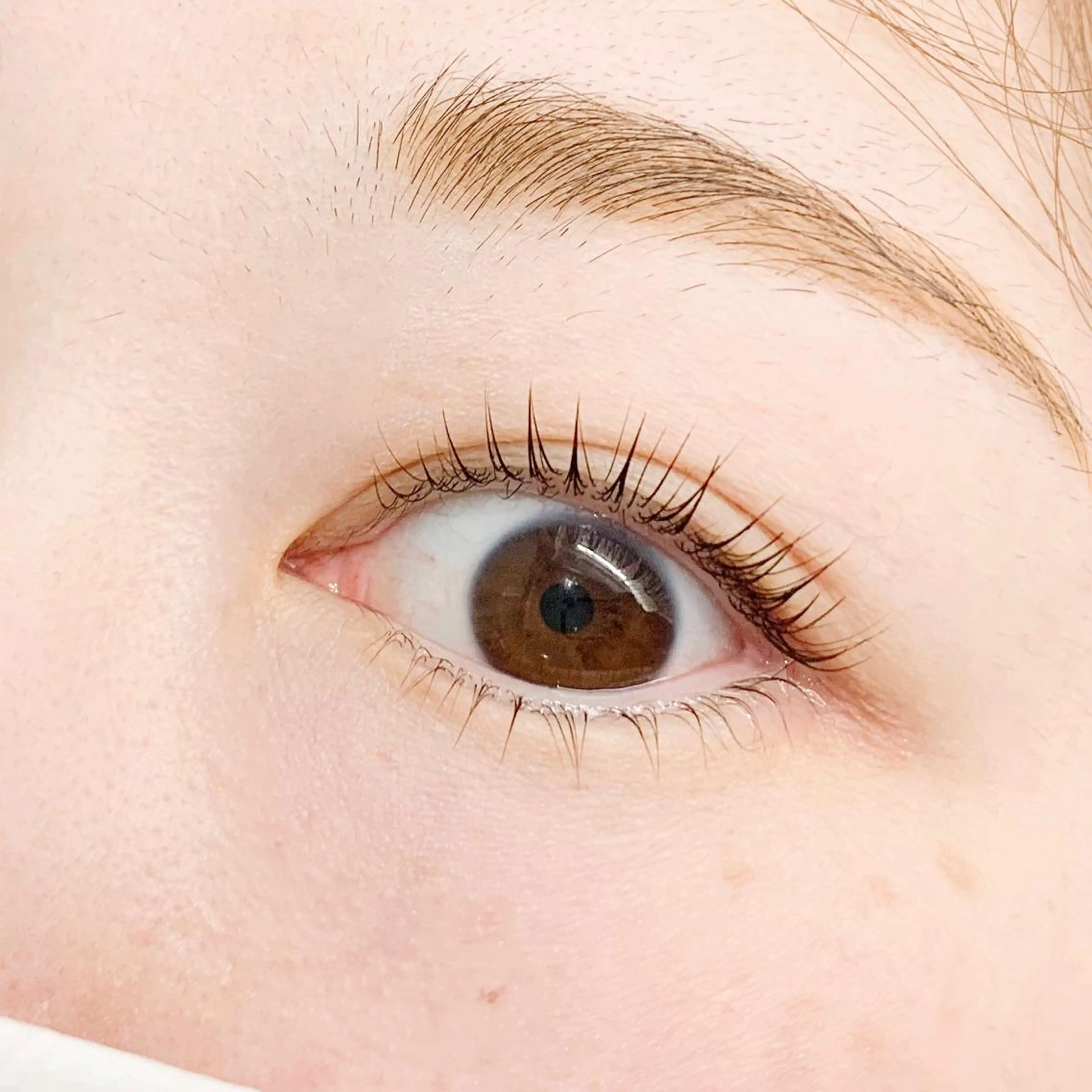 マツエク・マツパ MAK's所属・MAK's 松戸店のマツエク・マツパデザイン