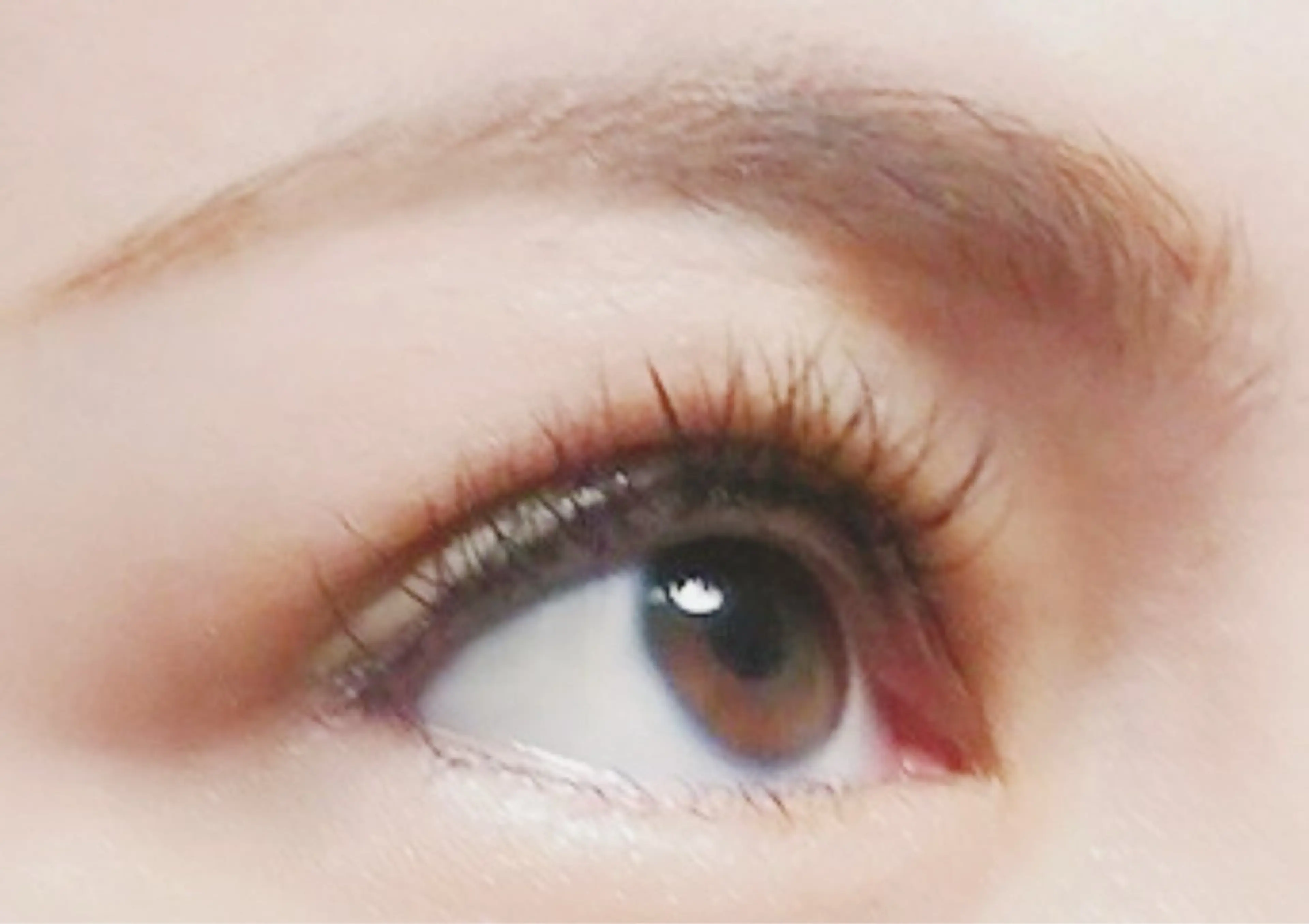 ❤ご新規様限定❤フラットラッシュ１２０本+育毛トリートメント（アイシャンプ―・アイパック・オフ込み）３回同じ価格で🆗の写真