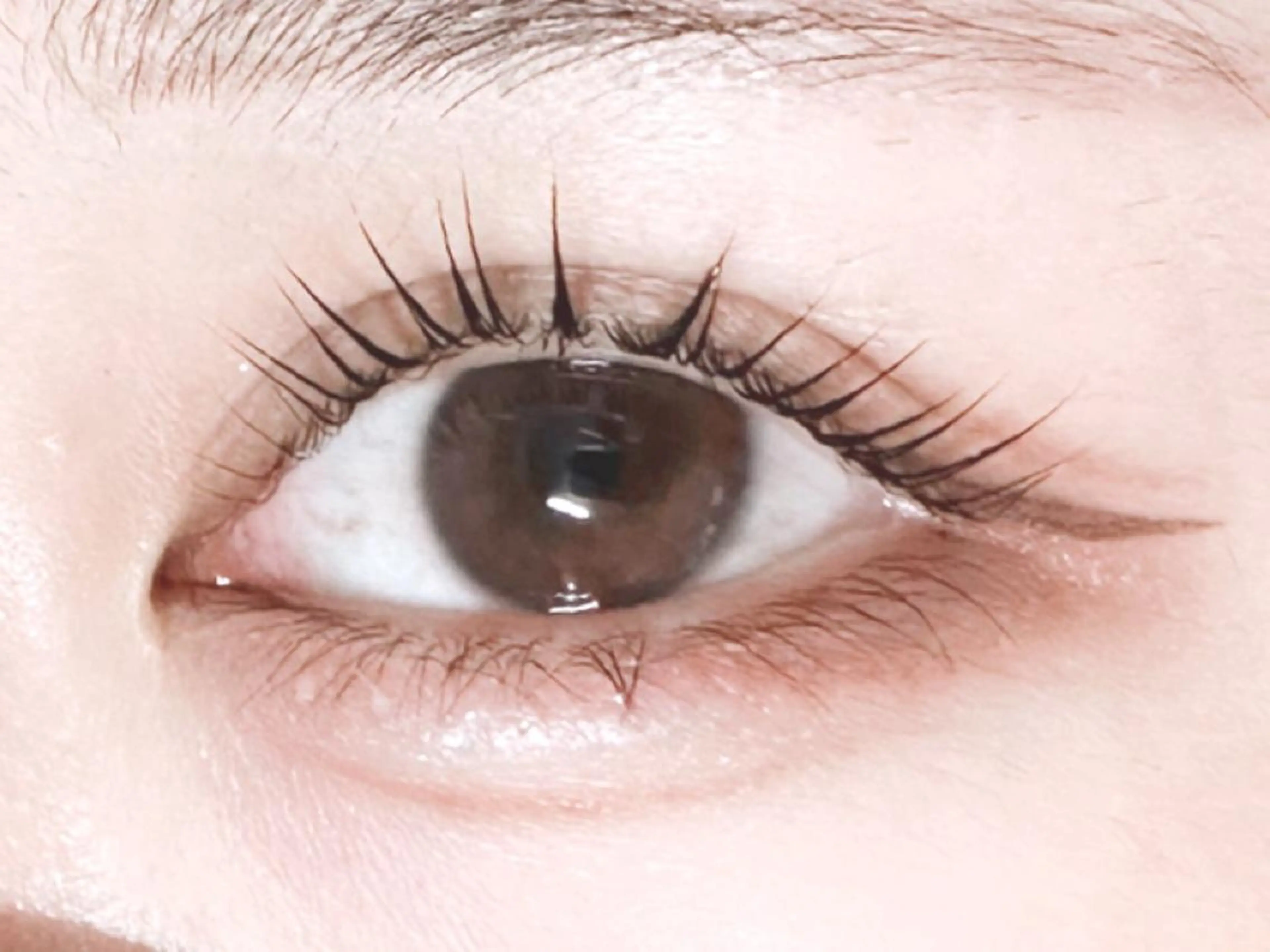 マツエク・マツパ パリジェンヌラッシュリフト マツパ 𝐉𝐎𝐋𝐈 アイリスト ❤︎のマツエク・マツパデザイン