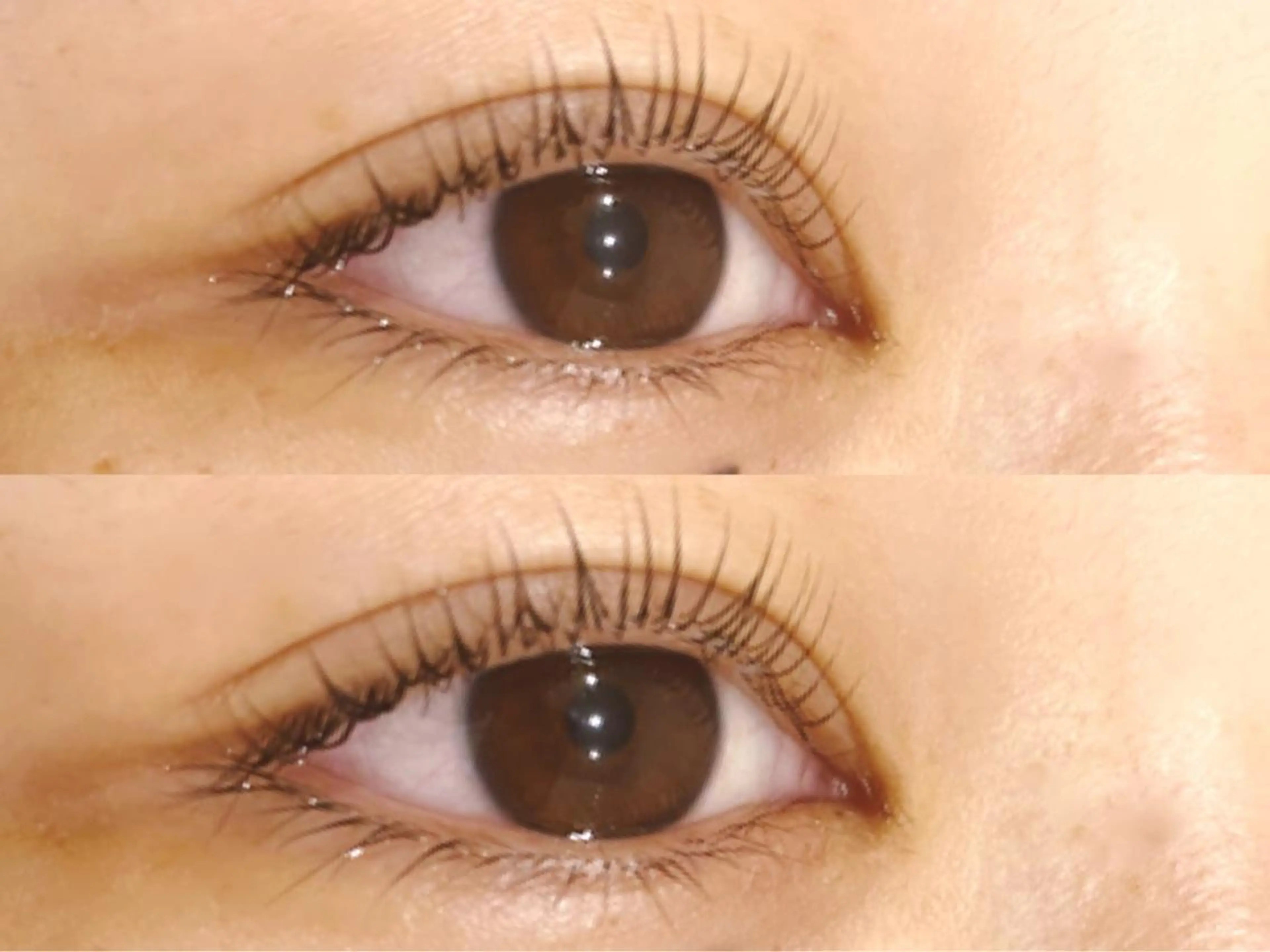 マツエク・マツパ Hera 👀アイラッシュのマツエク・マツパデザイン