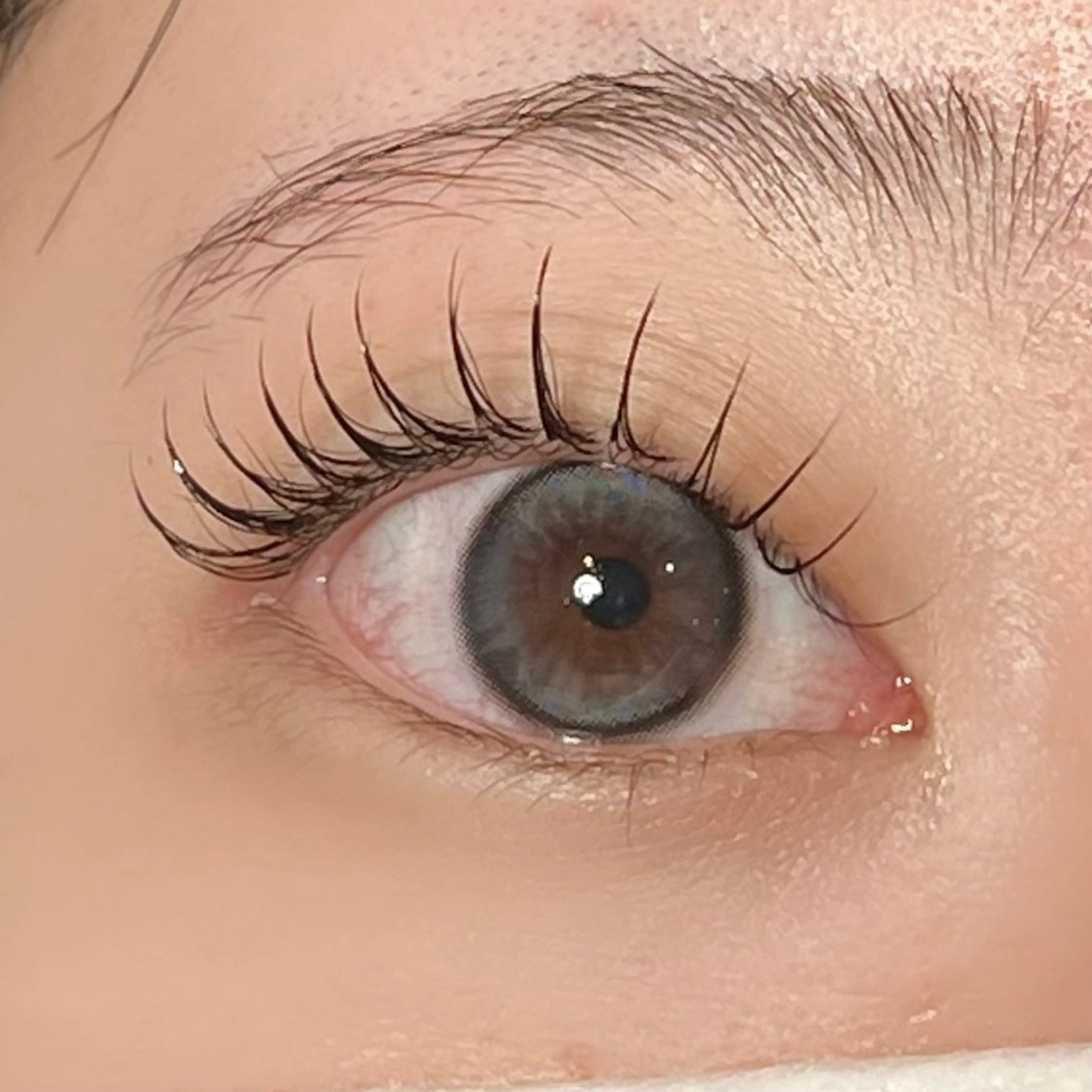 マツエク・マツパ 束感まつ毛 ナチュラル Milavis所属・すあい みやびのマツエク・マツパデザイン