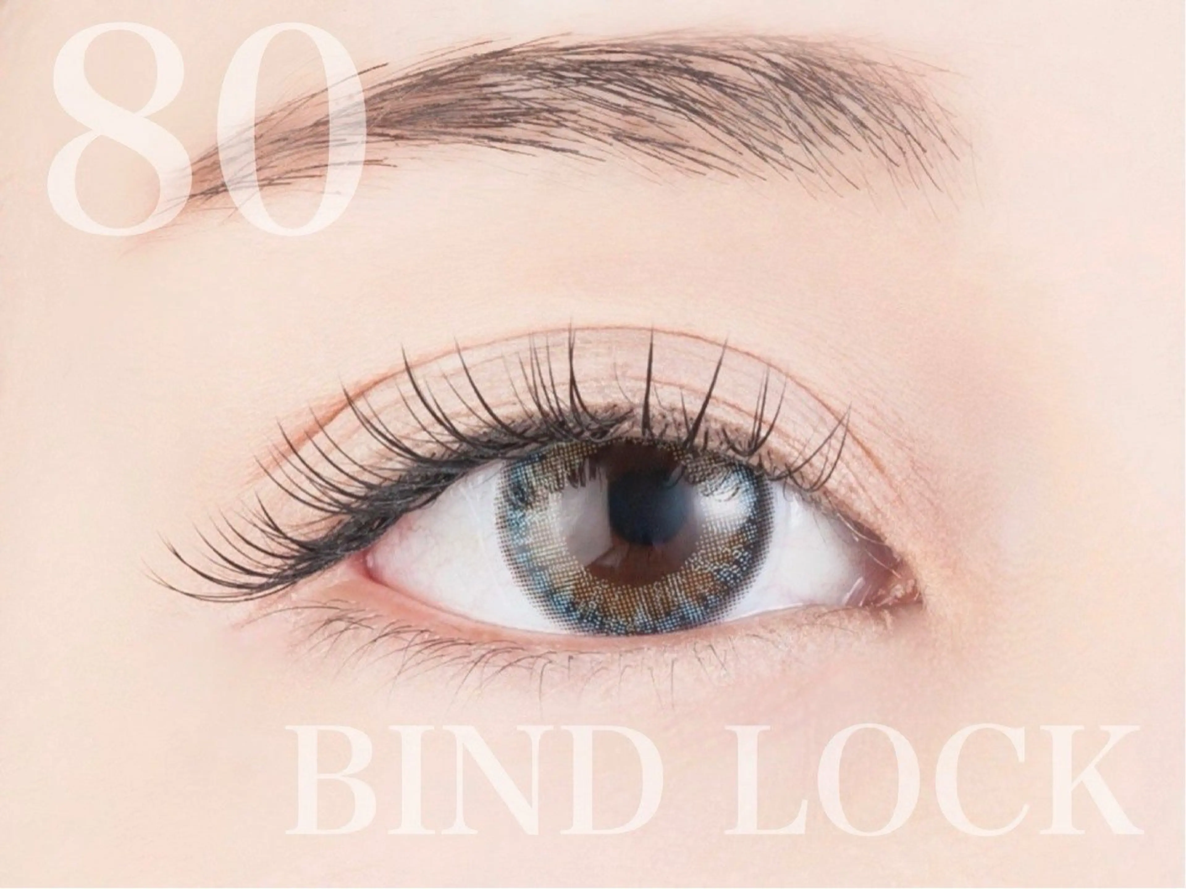 🤍ご新規様限定🤍バインドロック80束の写真