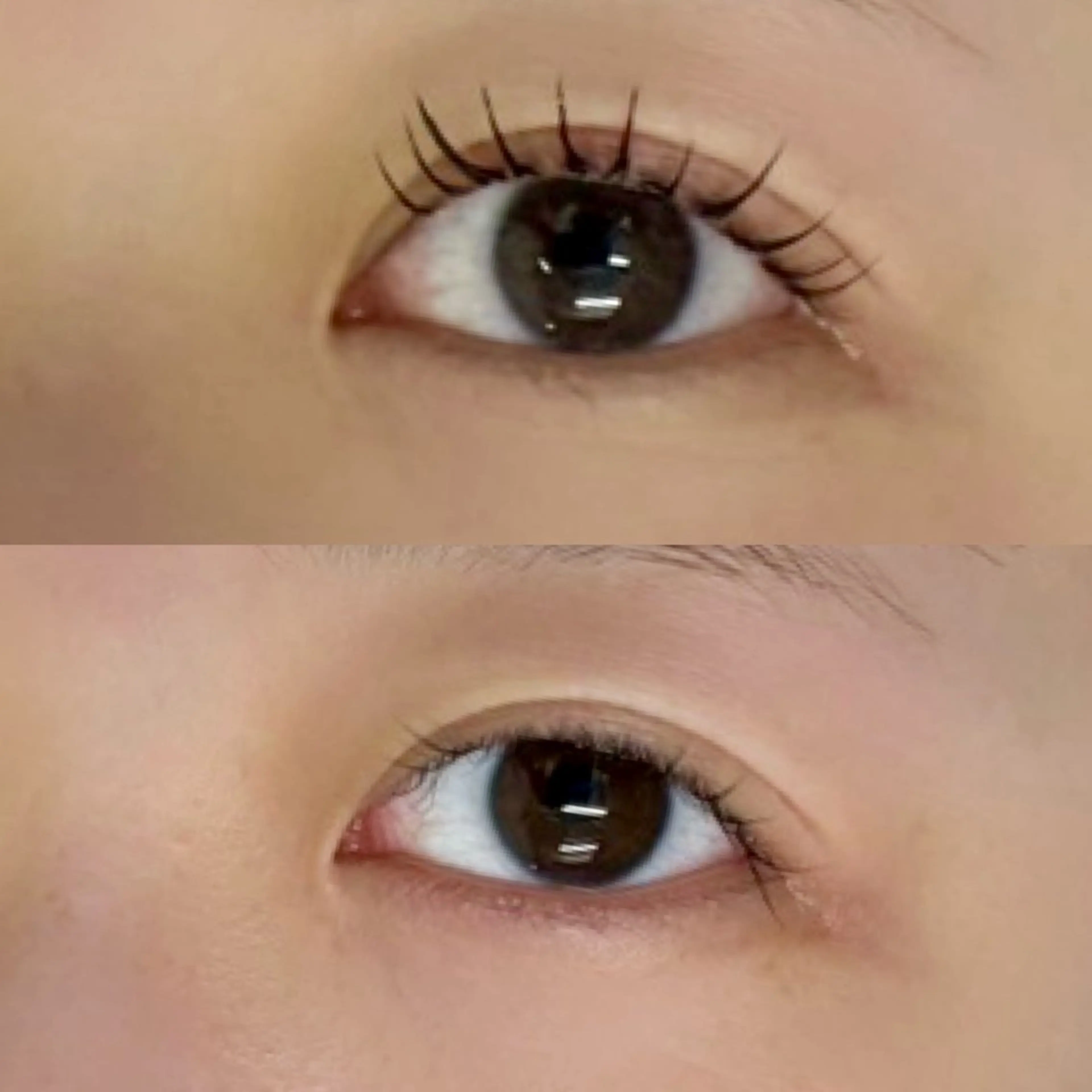 マツエク・マツパ ジュエル.《まつげ》 モデル様募集中のマツエク・マツパデザイン