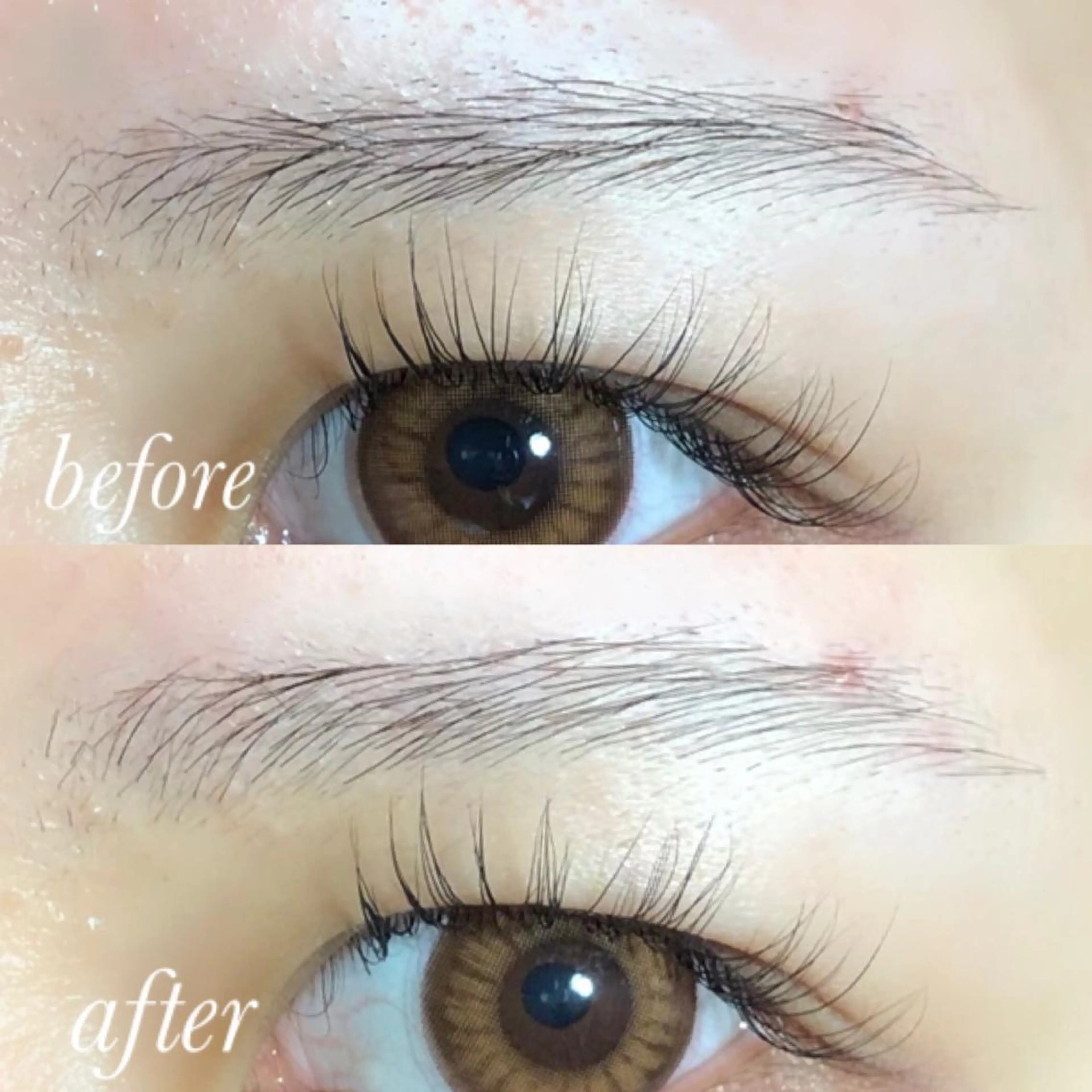 Favori 山下のマツエク・マツパデザイン