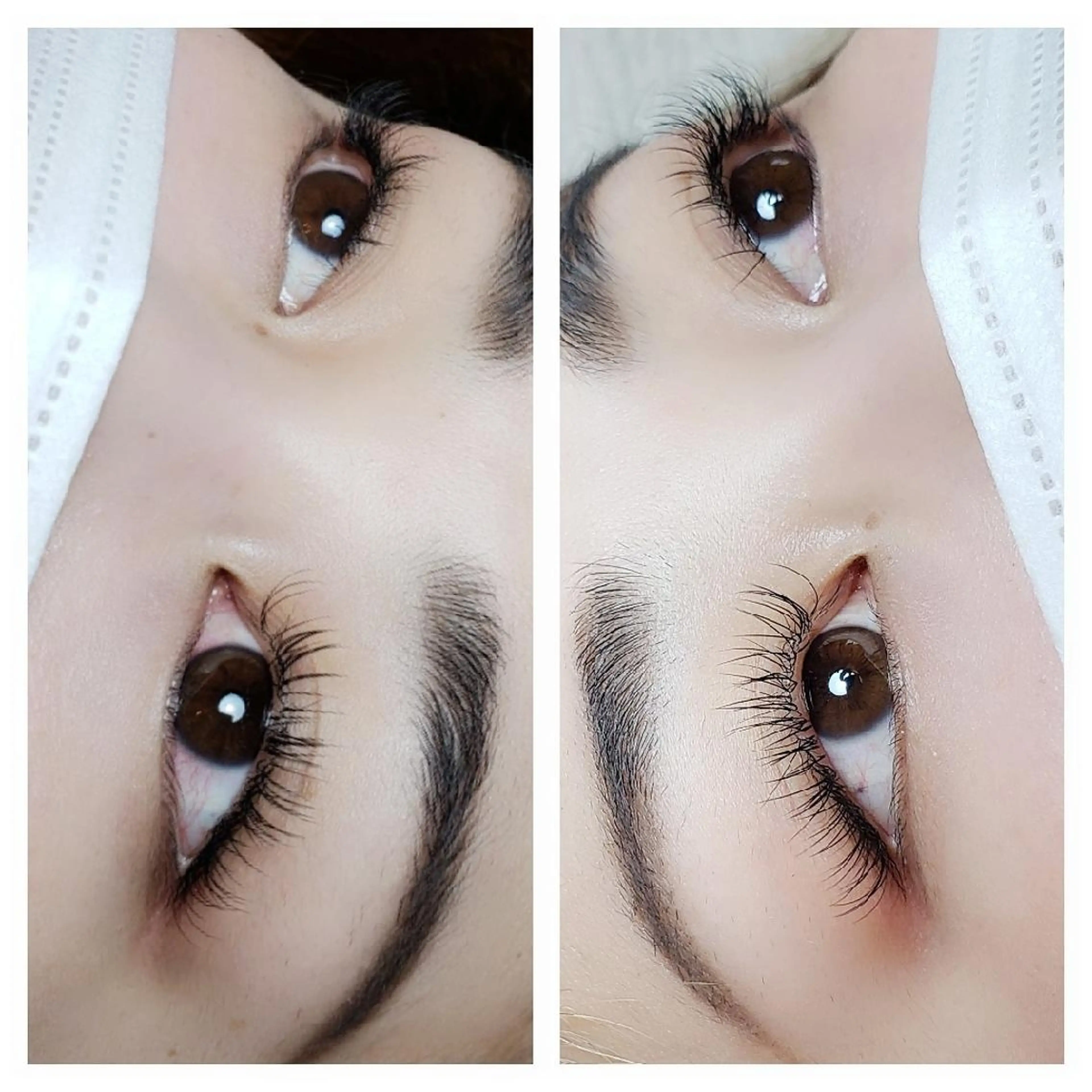 マツエク・マツパ フラットラッシュ マツエク Rouge ・ K  　のマツエク・マツパデザイン