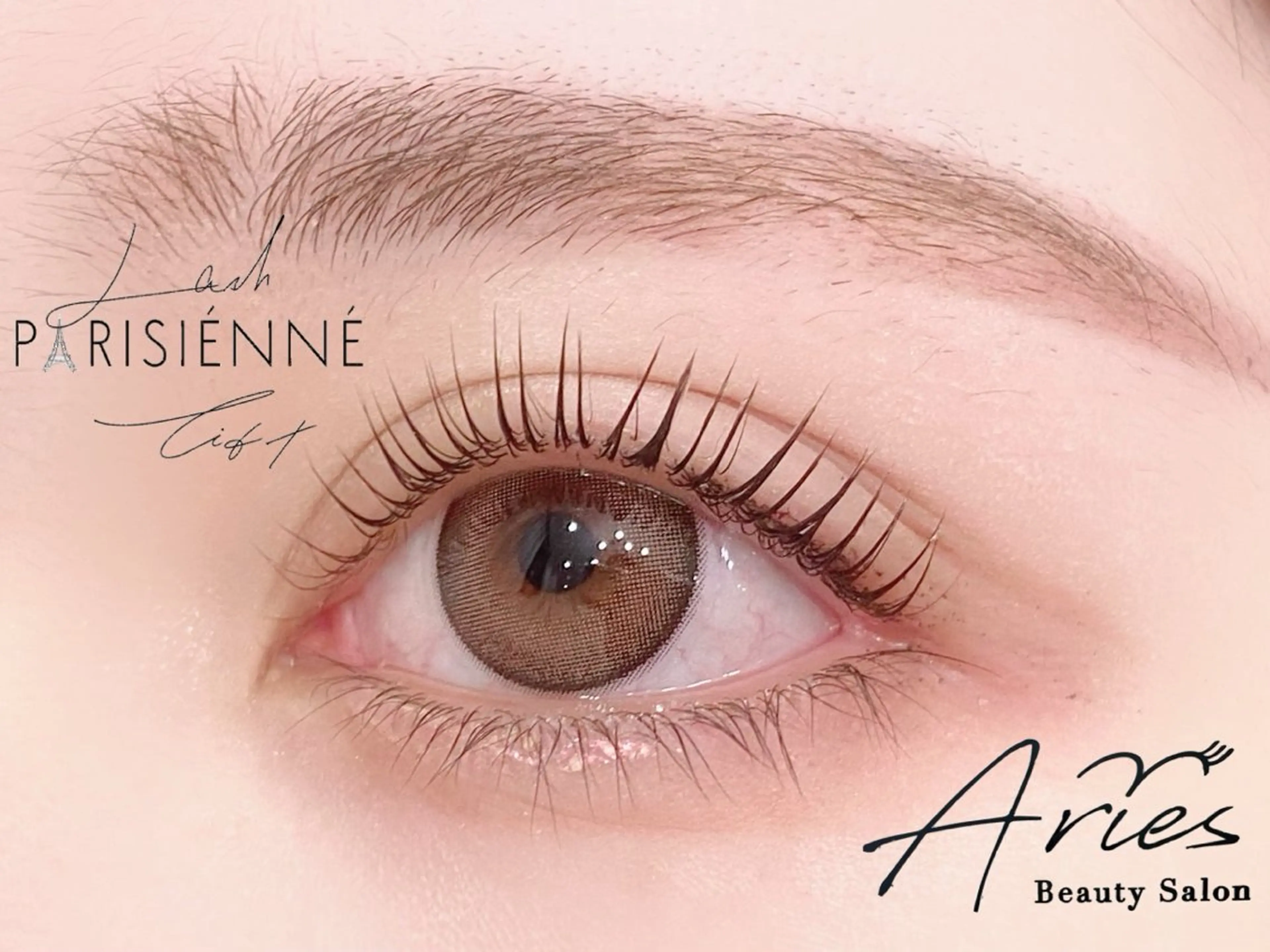 マツエク・マツパ Aries 恵比寿店所属・Aries/ 恵比寿のマツエク・マツパデザイン