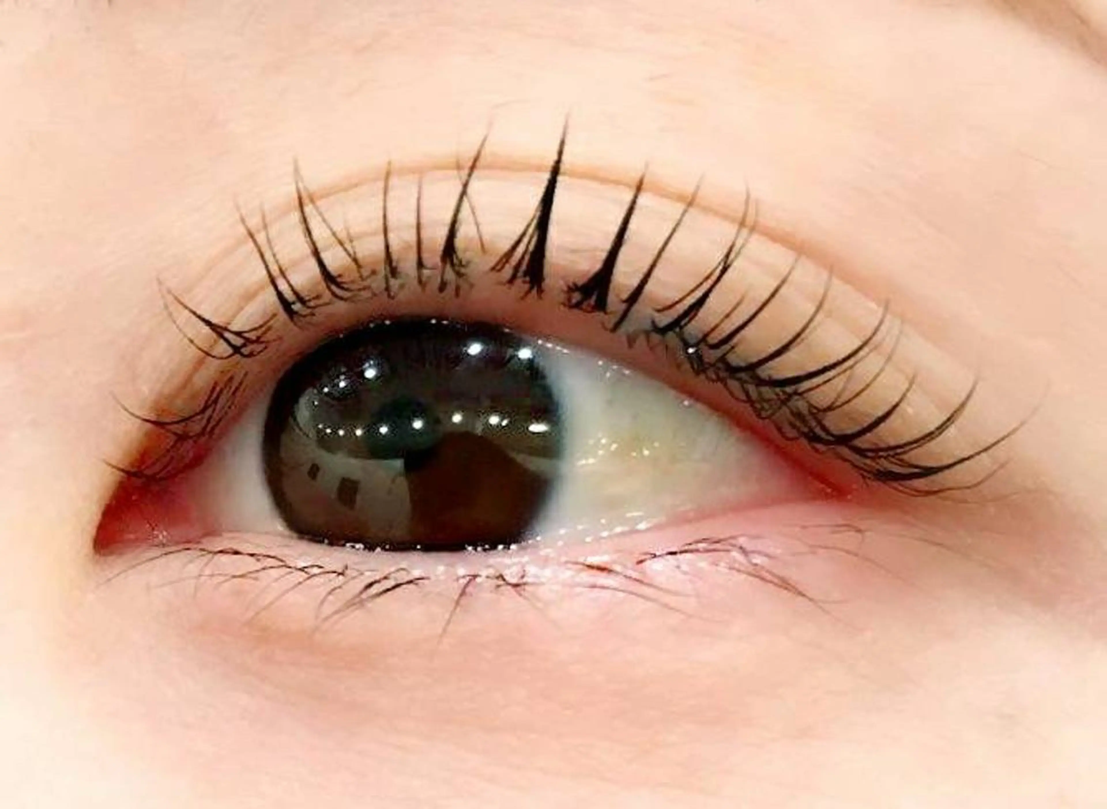 マツエク・マツパ FOXY LASH the beautyのマツエク・マツパデザイン