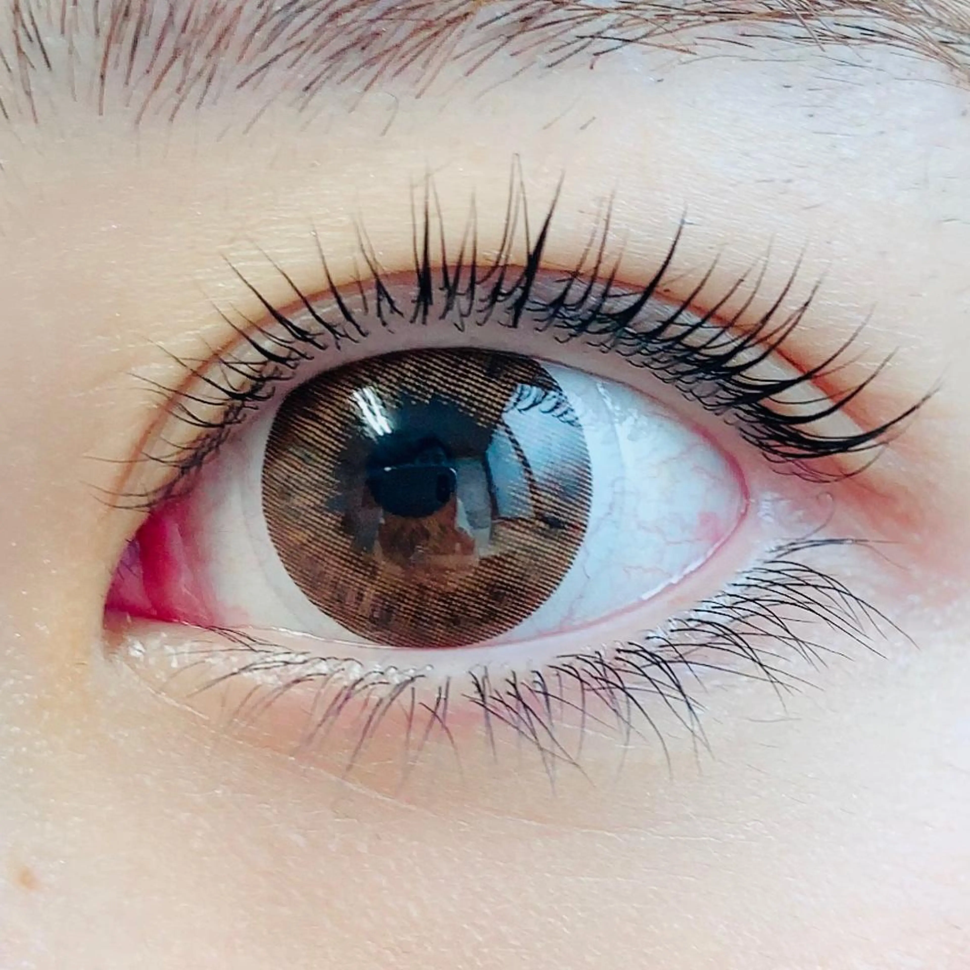 マツエク・マツパ Cカール 一重×まつ毛パーマ 脱毛×アイラッシュCeriseLaLa所属・まつげ＆アイブロウ スリーズララ🍒のマツエク・マツパデザイン