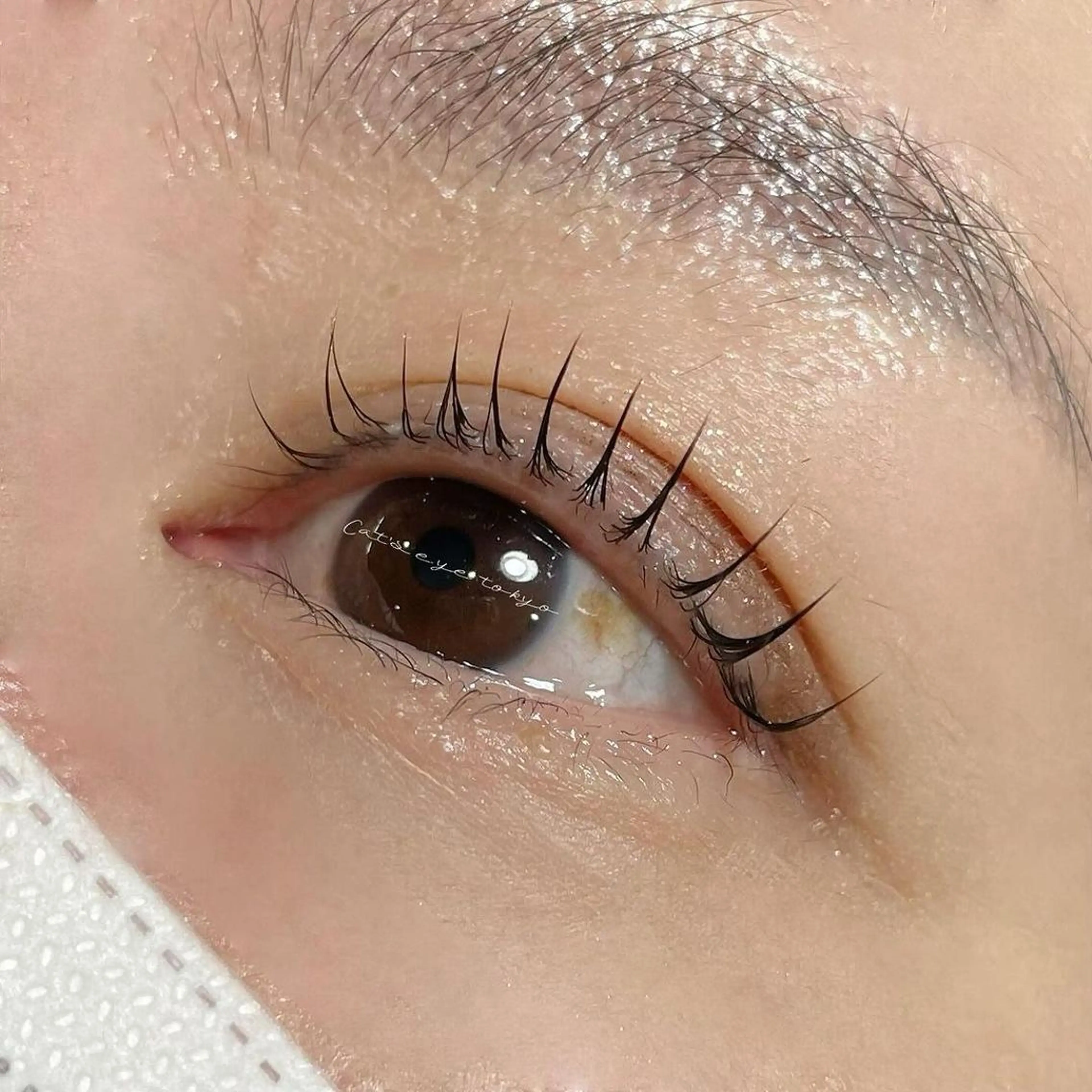 マツエク・マツパ まつげパーマ 一重×まつ毛パーマ Cat's eye TOKYO 新宿店のネイルデザイン