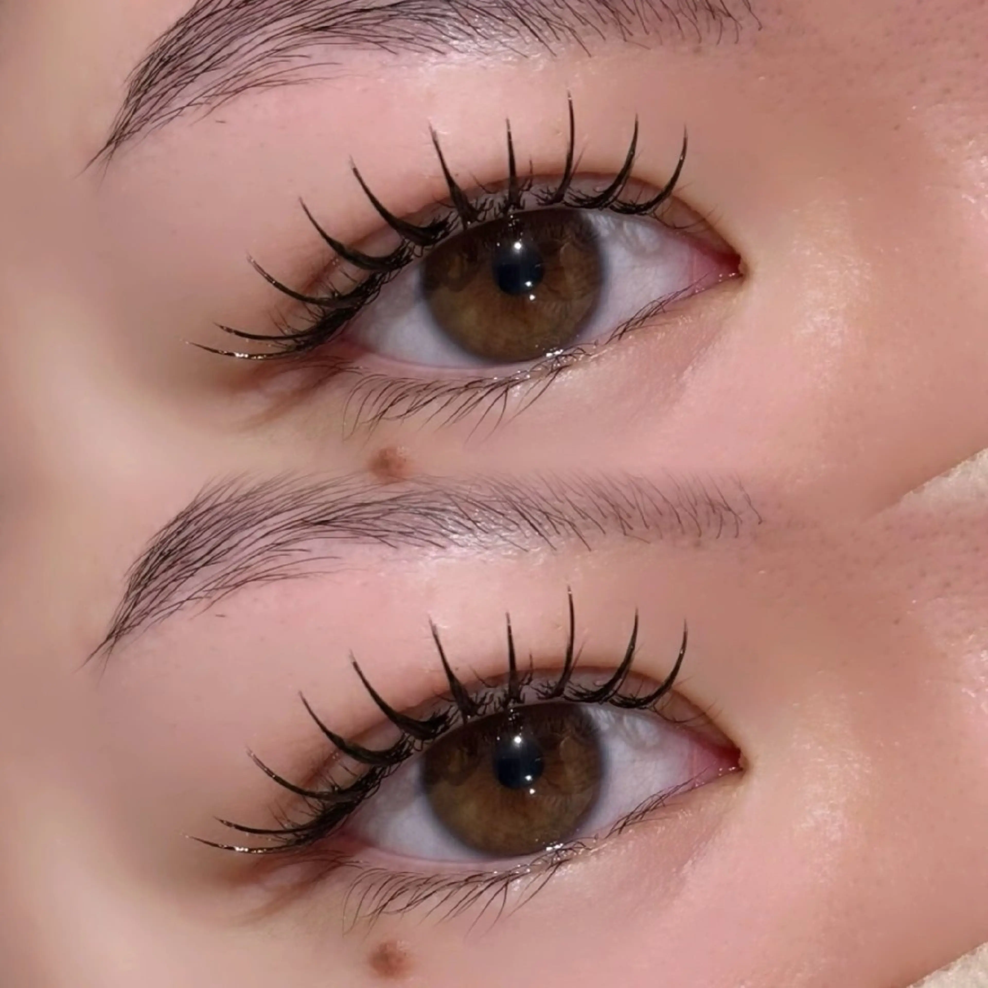 マツエク・マツパ foi by eyeartistsのマツエク・マツパデザイン