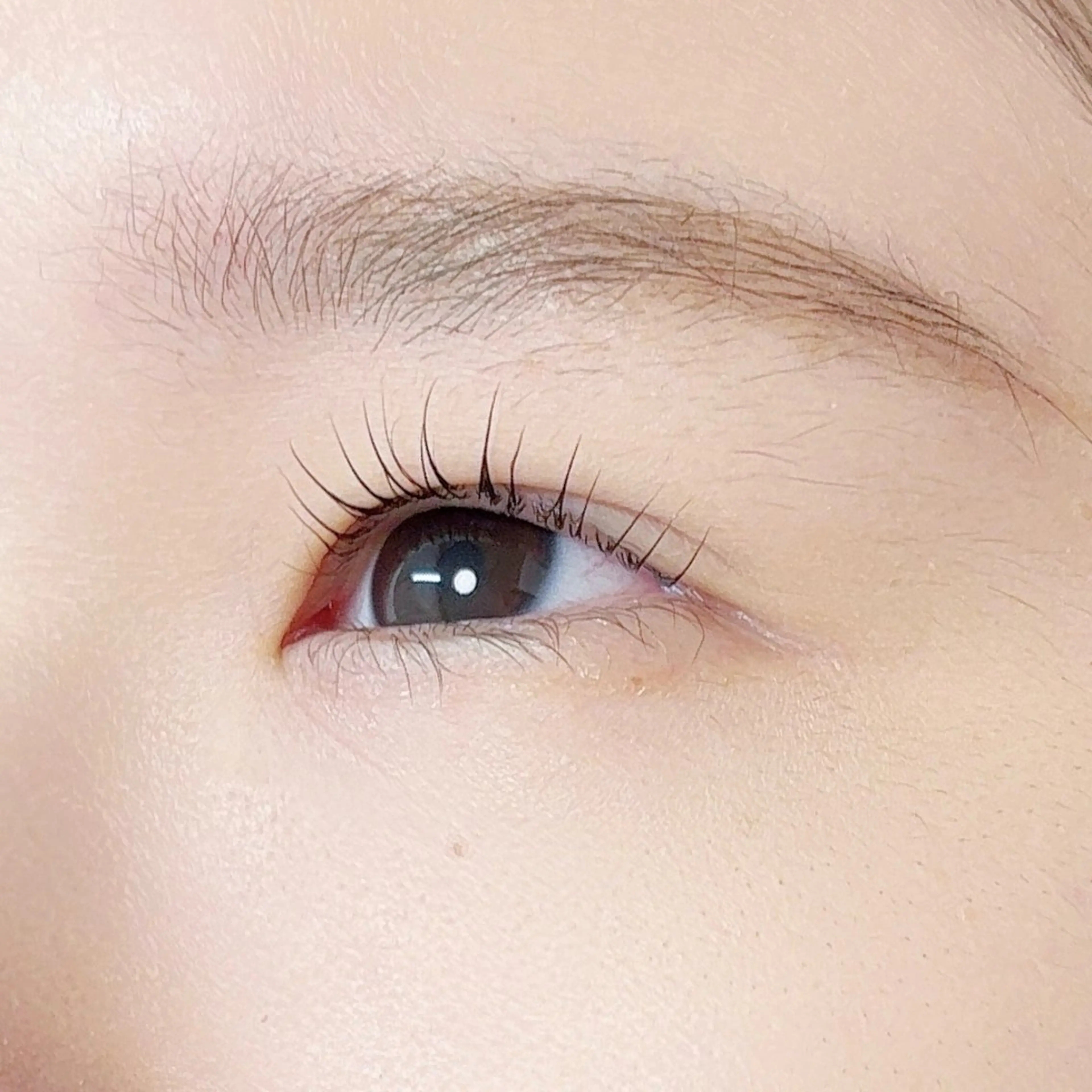 マツエク・マツパ Ayumi.dre 🐹H〈2階〉のマツエク・マツパデザイン