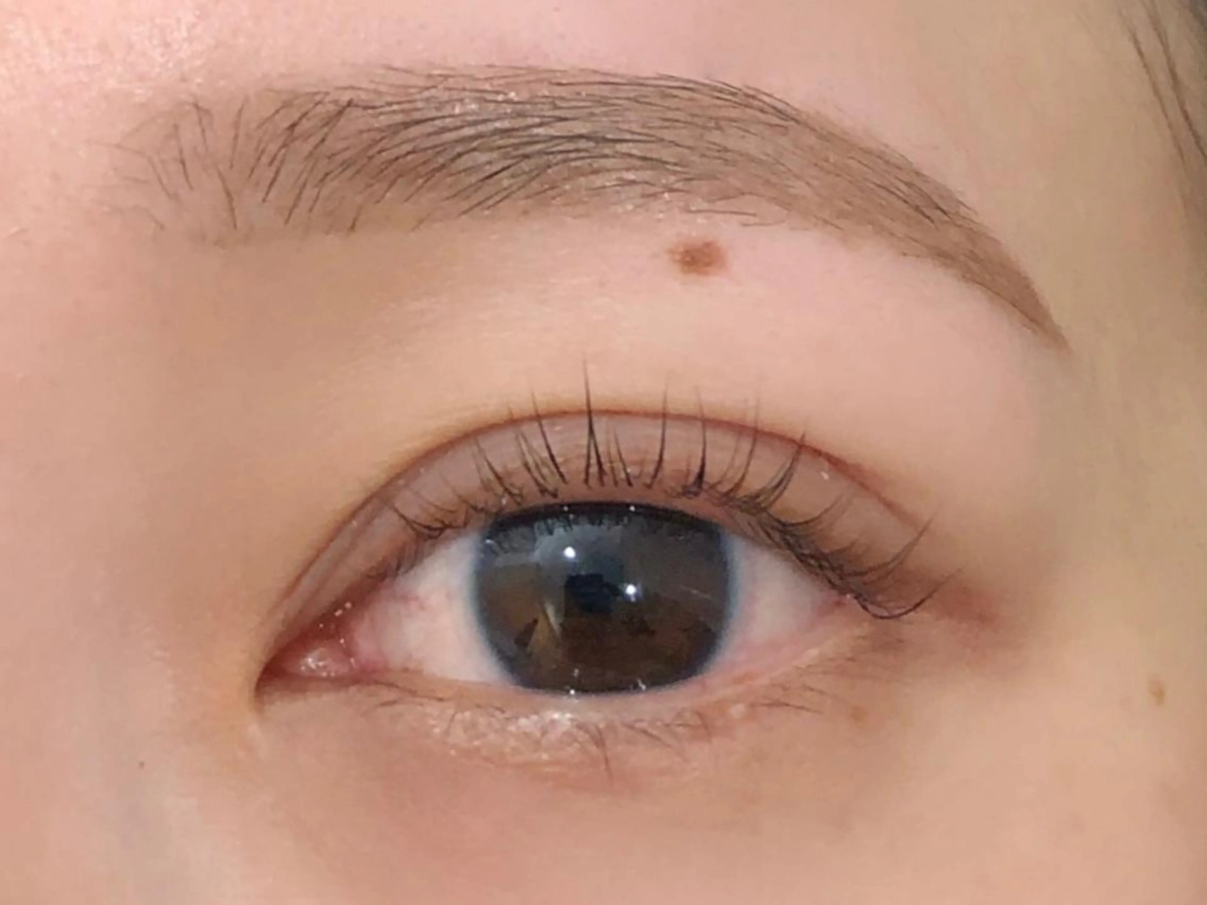 アイブロウ 𝗲𝗶𝗴𝗵𝘁 𝗛𝗢𝗡𝗗𝗔のマツエク・マツパデザイン