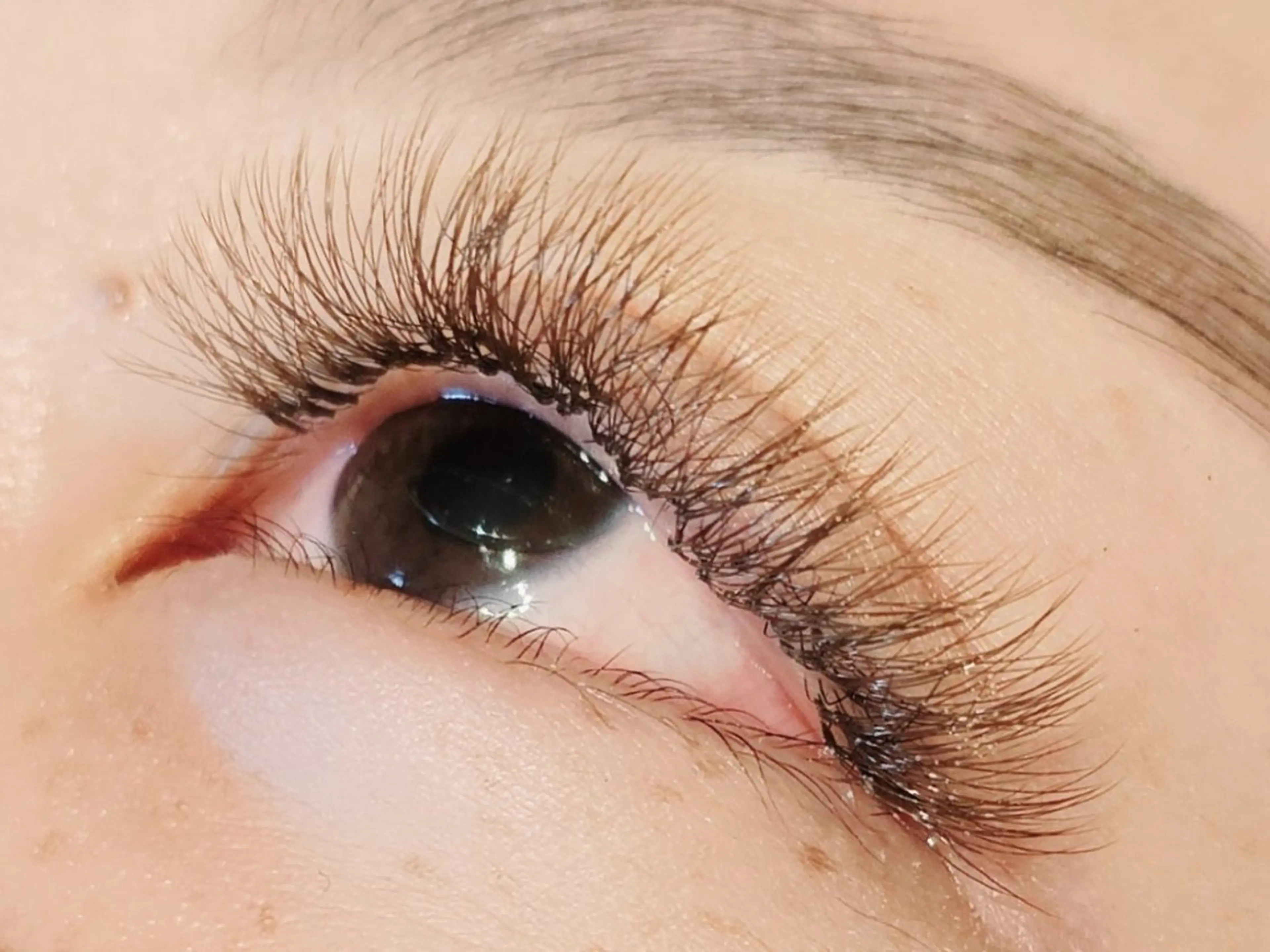 26日まで限定価格❇️LEDエクステ400本⭐✨️オフ無料ボリュームラッシュ　6,500円の写真