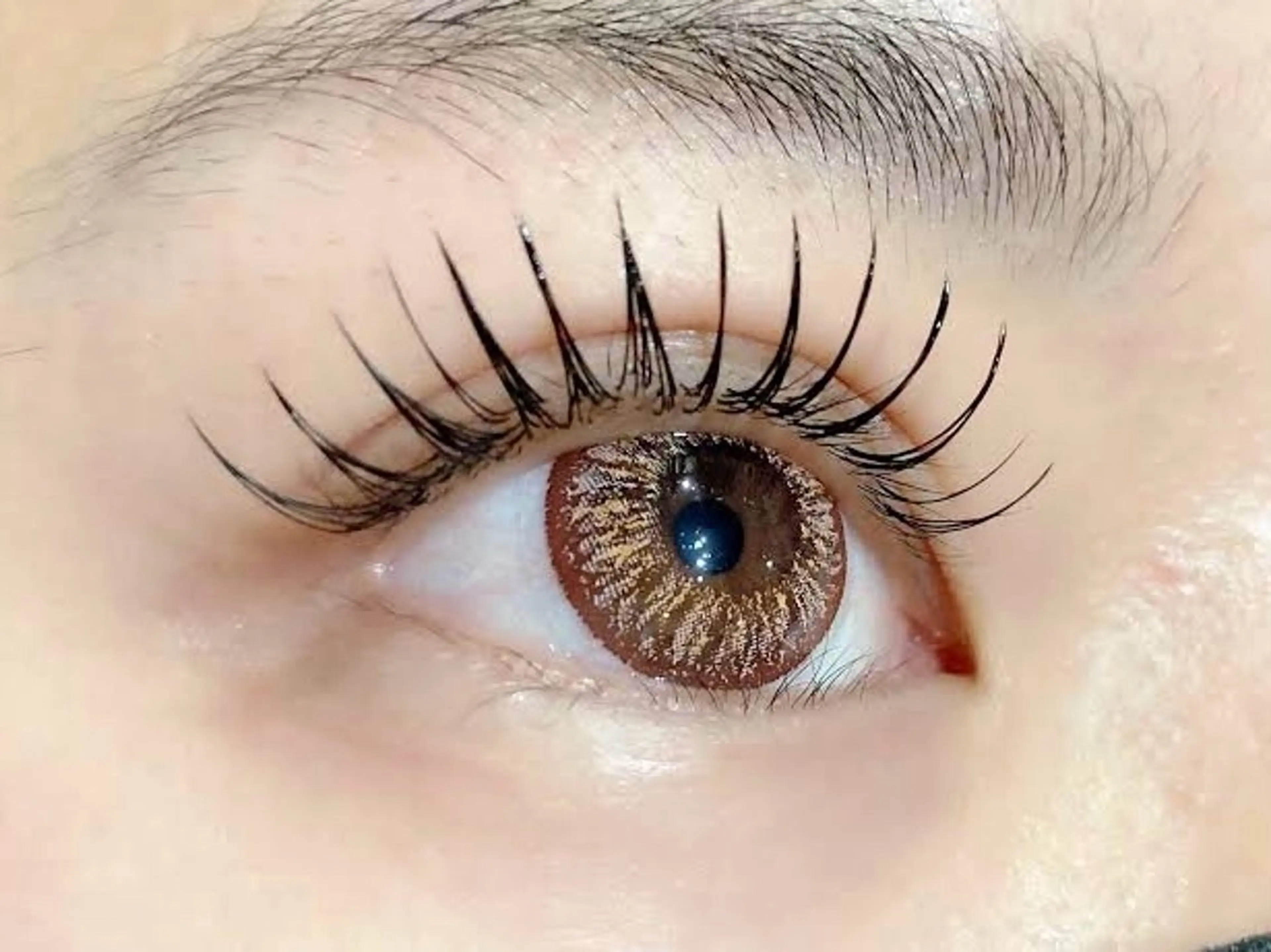 【パリエク】パリジェンヌ×フラットラッシュ120本の写真