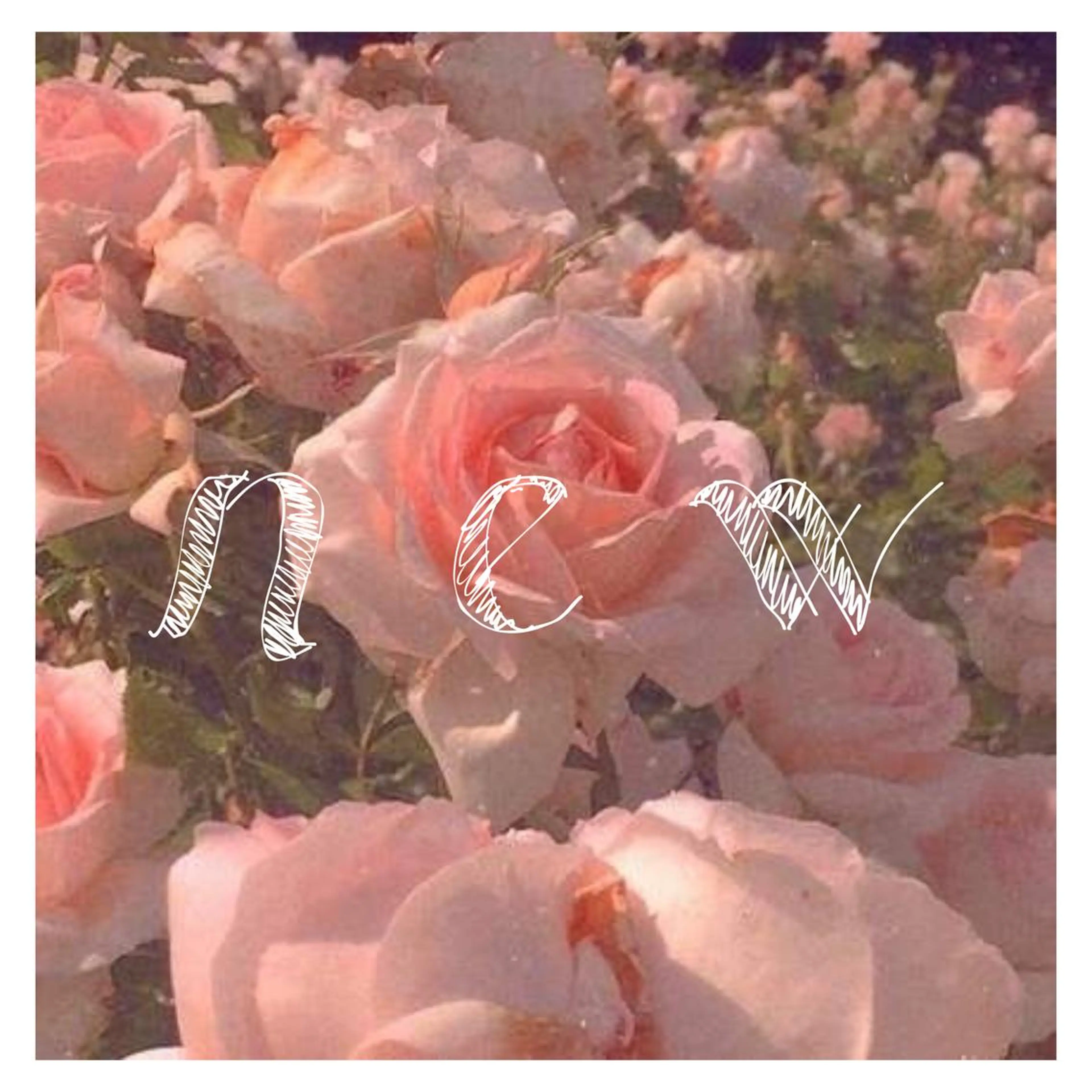 マツエク・マツパ ｍｉｐｐｙ 🪽のマツエク・マツパデザイン