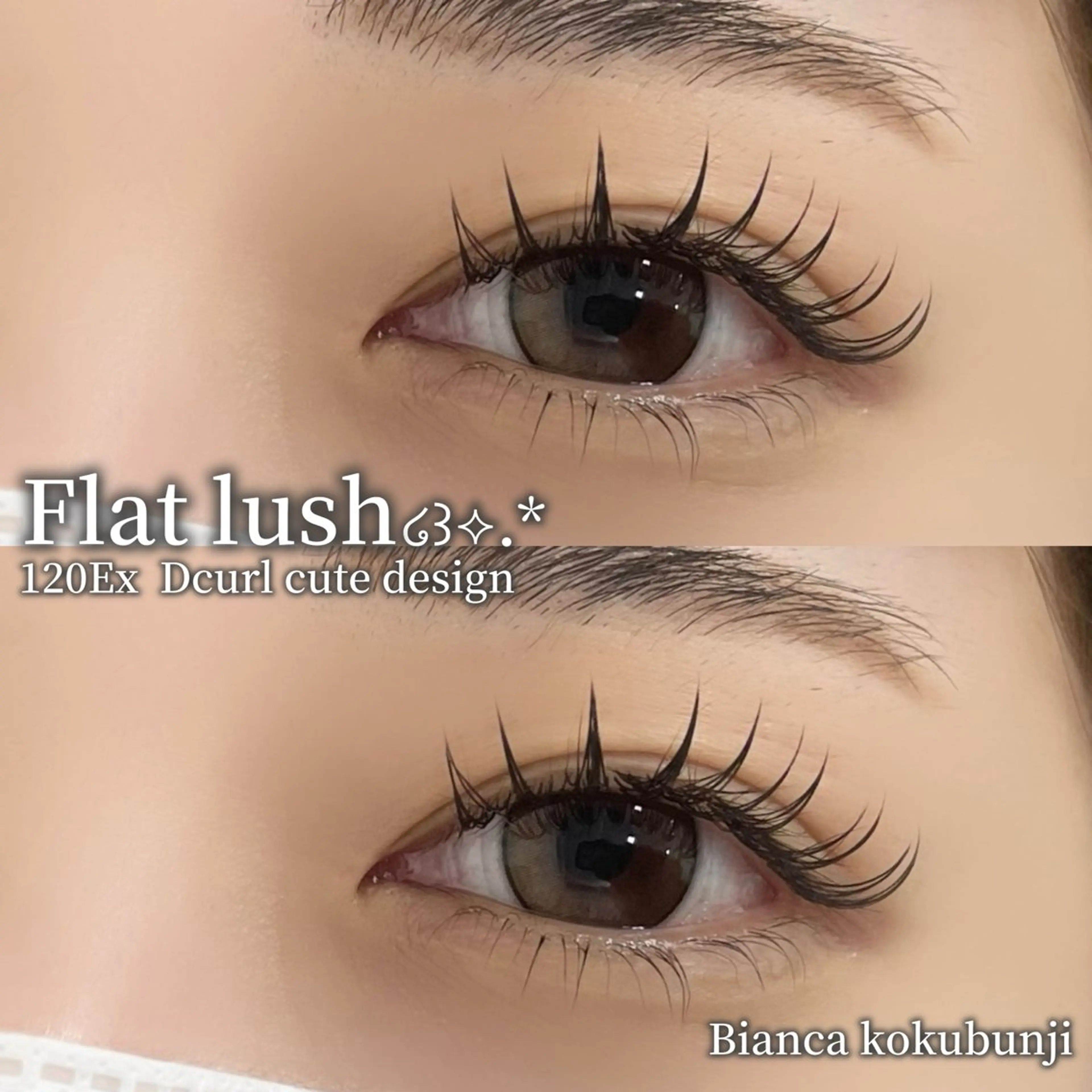 マツエク・マツパ フラットラッシュ マツエク 🩶Bianca 副店長ハシモト🩶のマツエク・マツパデザイン