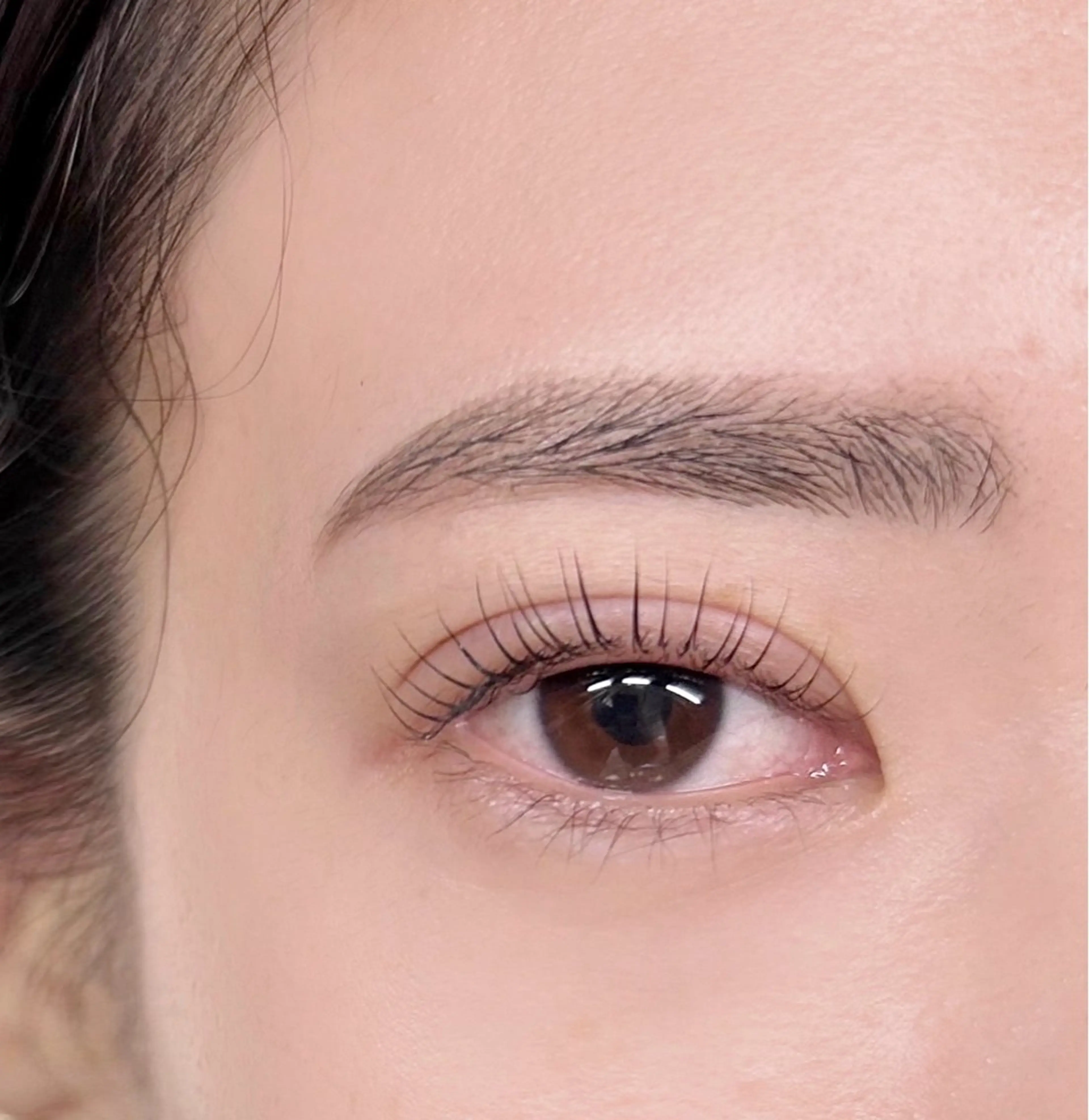 マツエク・マツパ 美眉/まつ毛 shuka🩶🎧の眉毛・アイブロウイメージ