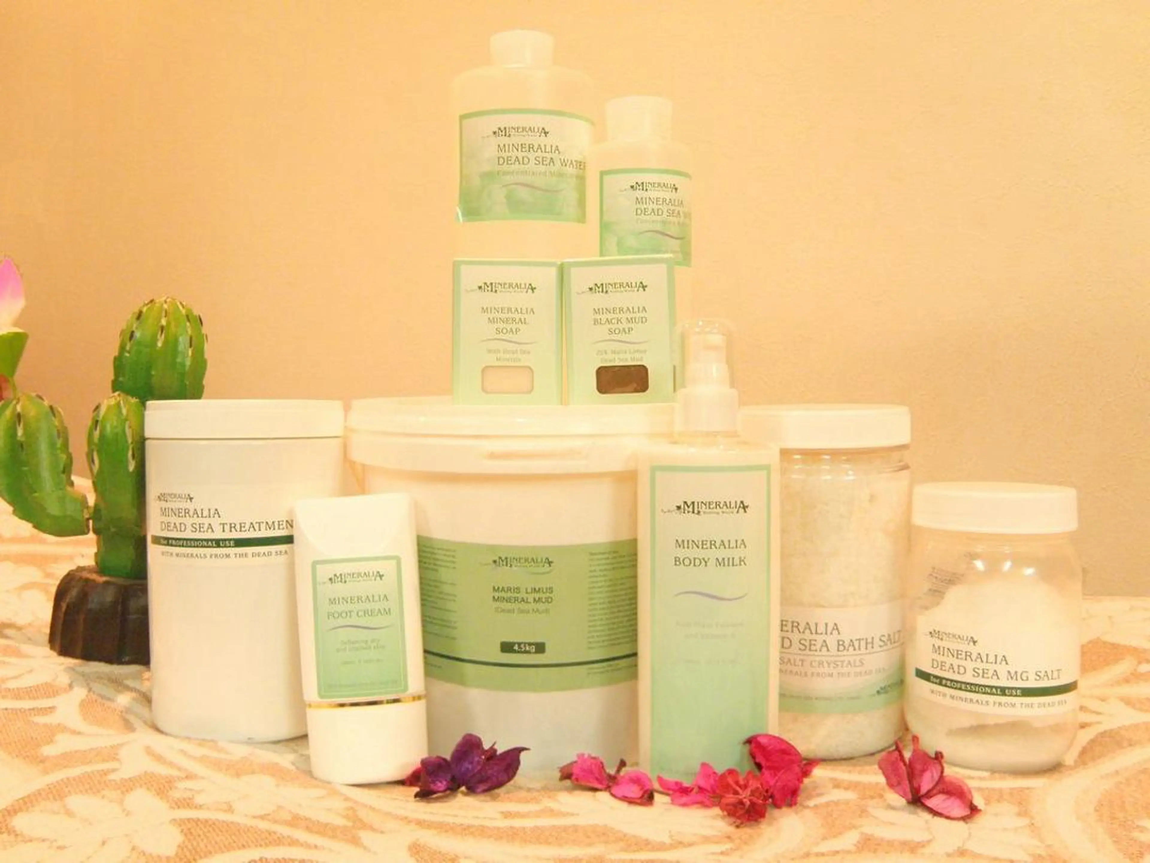 宮寺 千秋のエステ・リラクイメージ