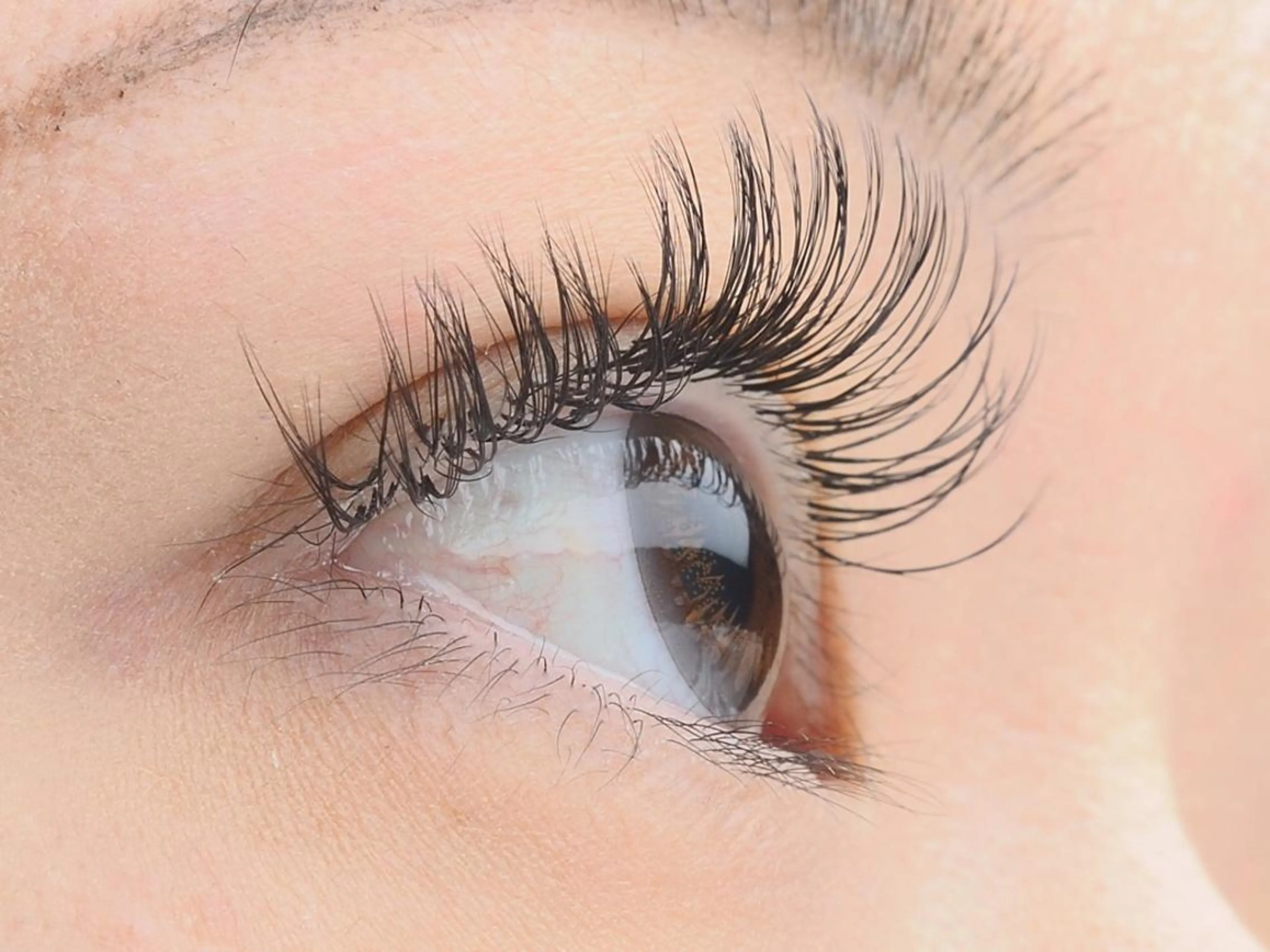 マツエク・マツパ マツエク 六花〜rikka〜所属・六花 〜rikka〜のマツエク・マツパデザイン