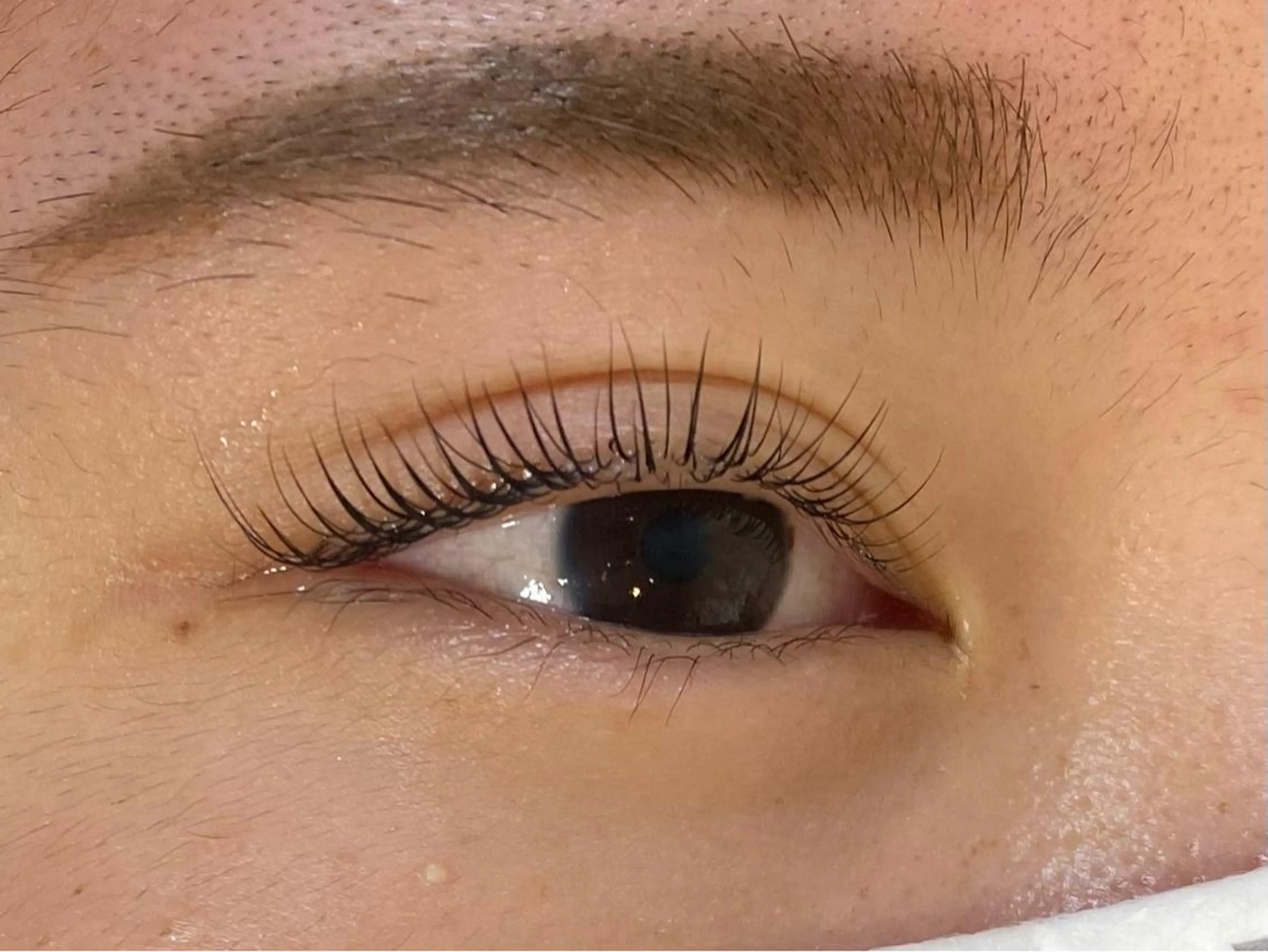 マツエク・マツパ マツパ Chisato🤍池 袋/マツパ/マツエクのマツエク・マツパデザイン