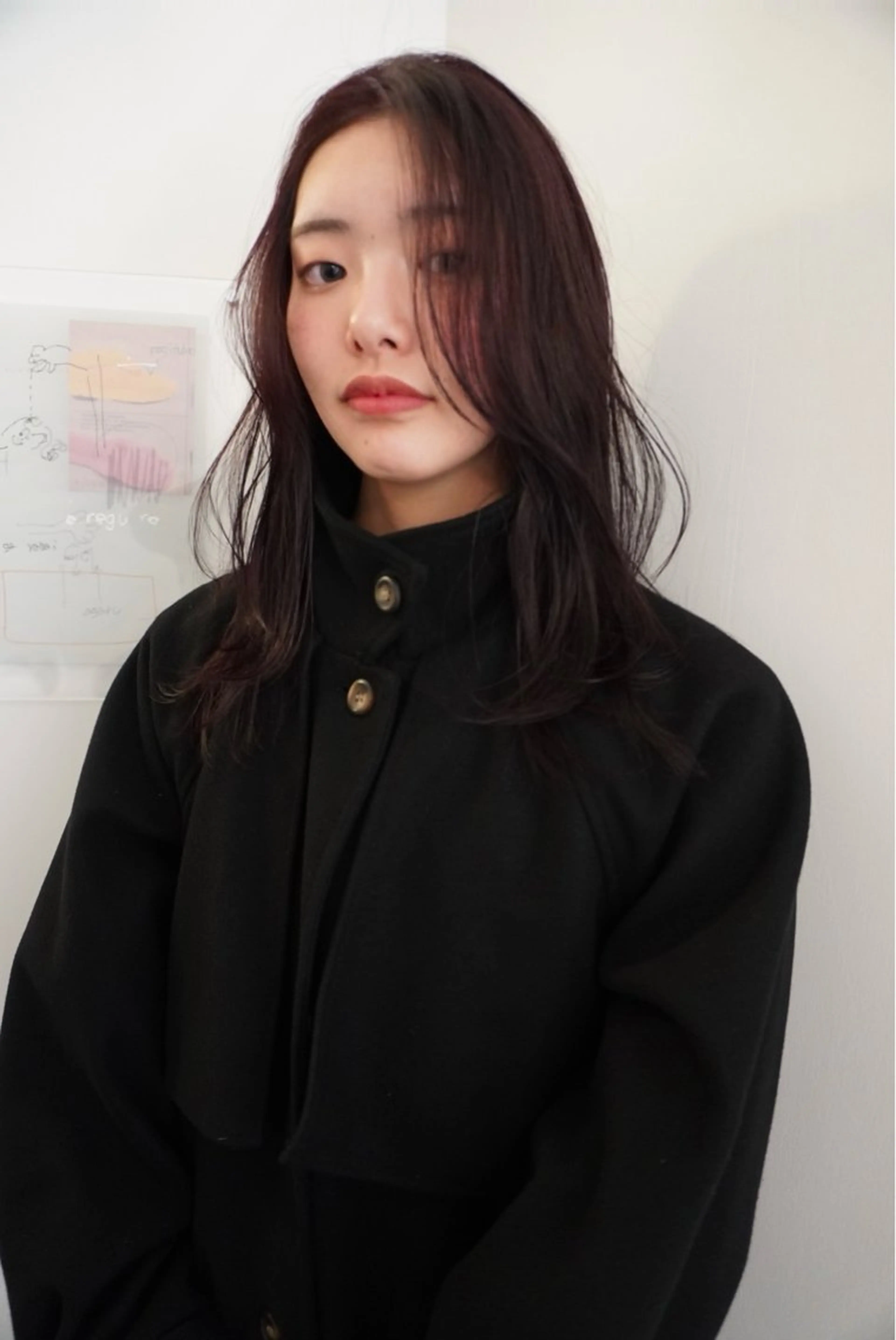 color (ワンカラー)の写真