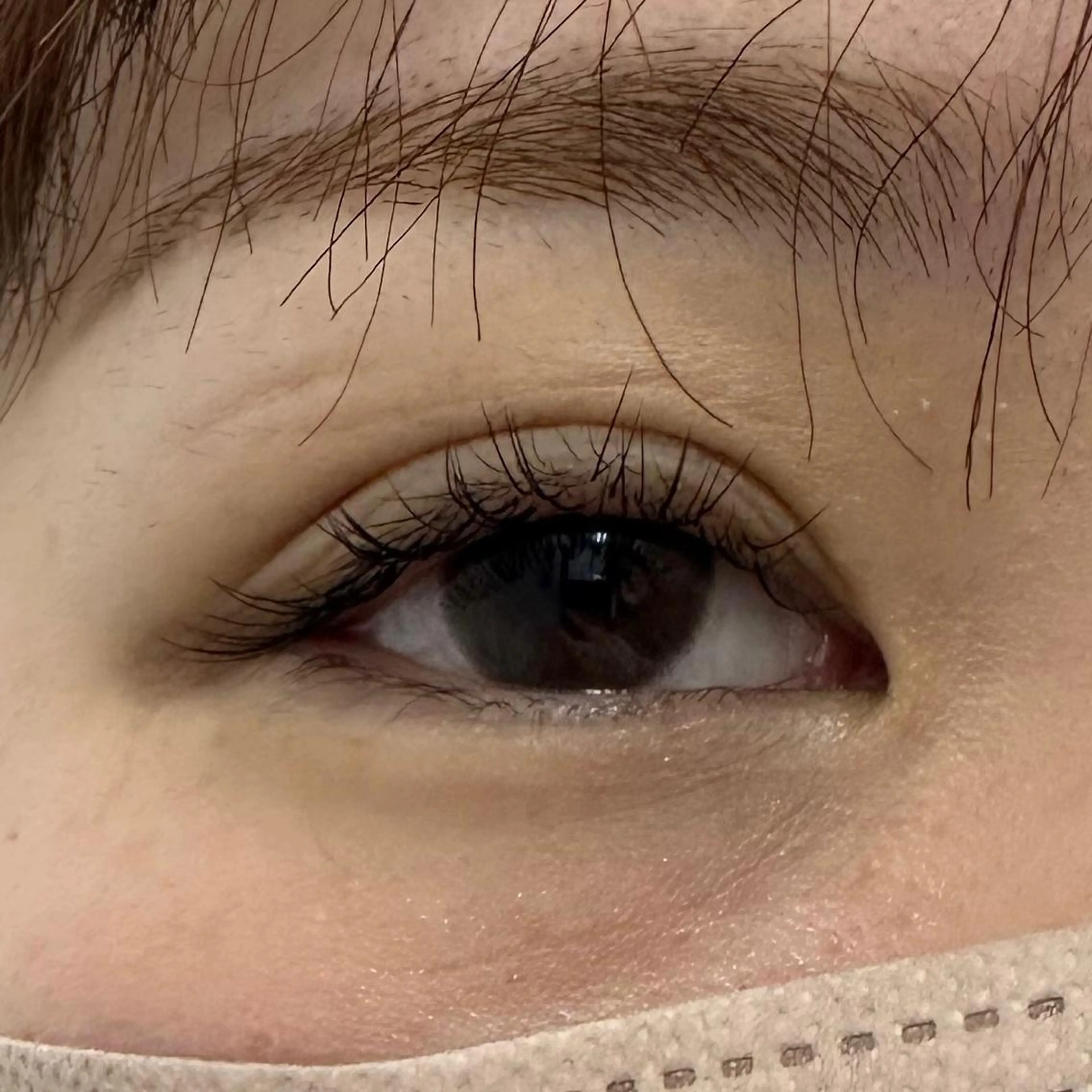 マツエク・マツパ Cカール Jカール Miyu🦄ash メンズカット/まつげのヘアスタイル