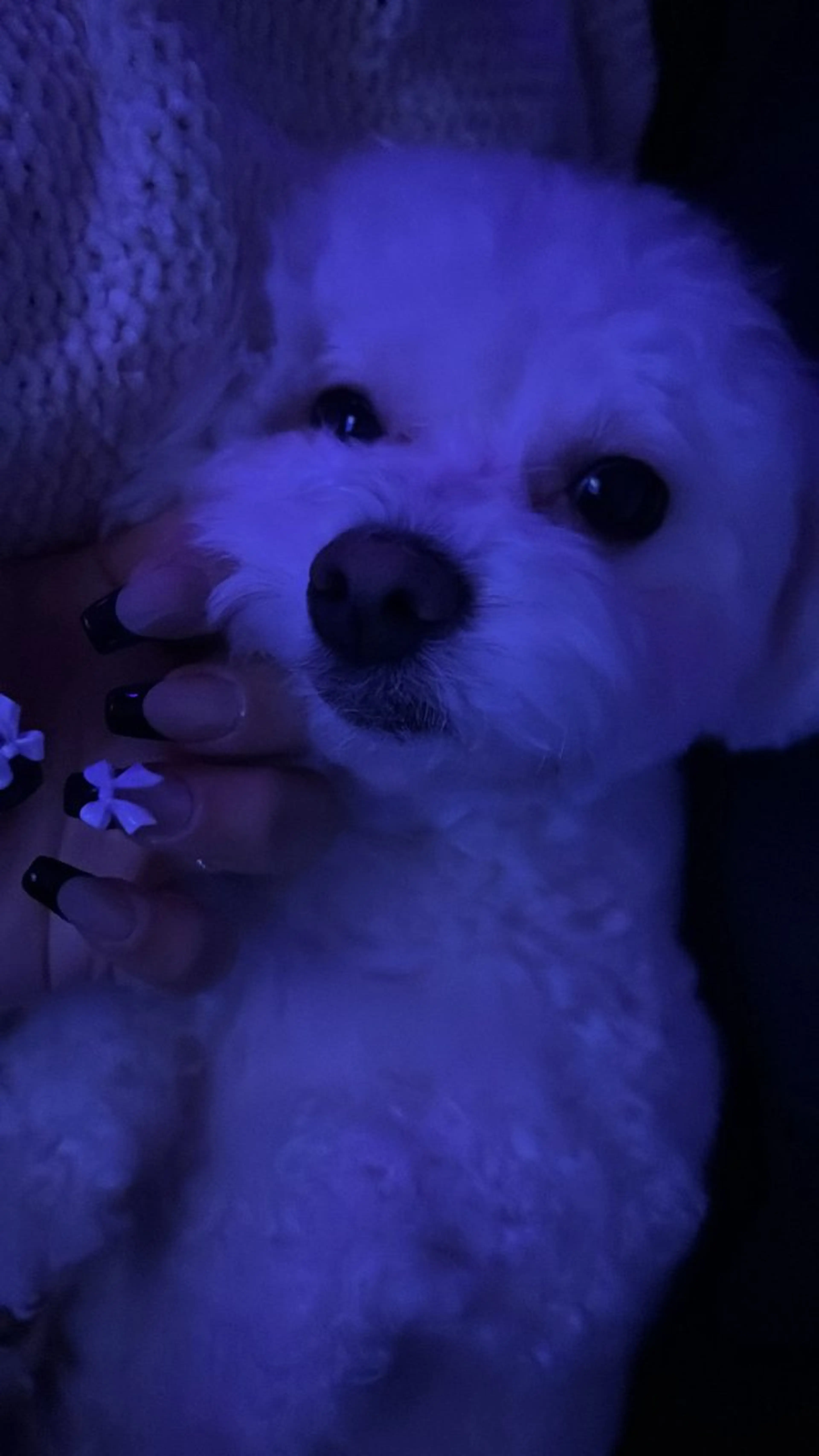 ネイル 持ち込み ストーンネイル ハンドネイル Chun Nailのネイルデザイン