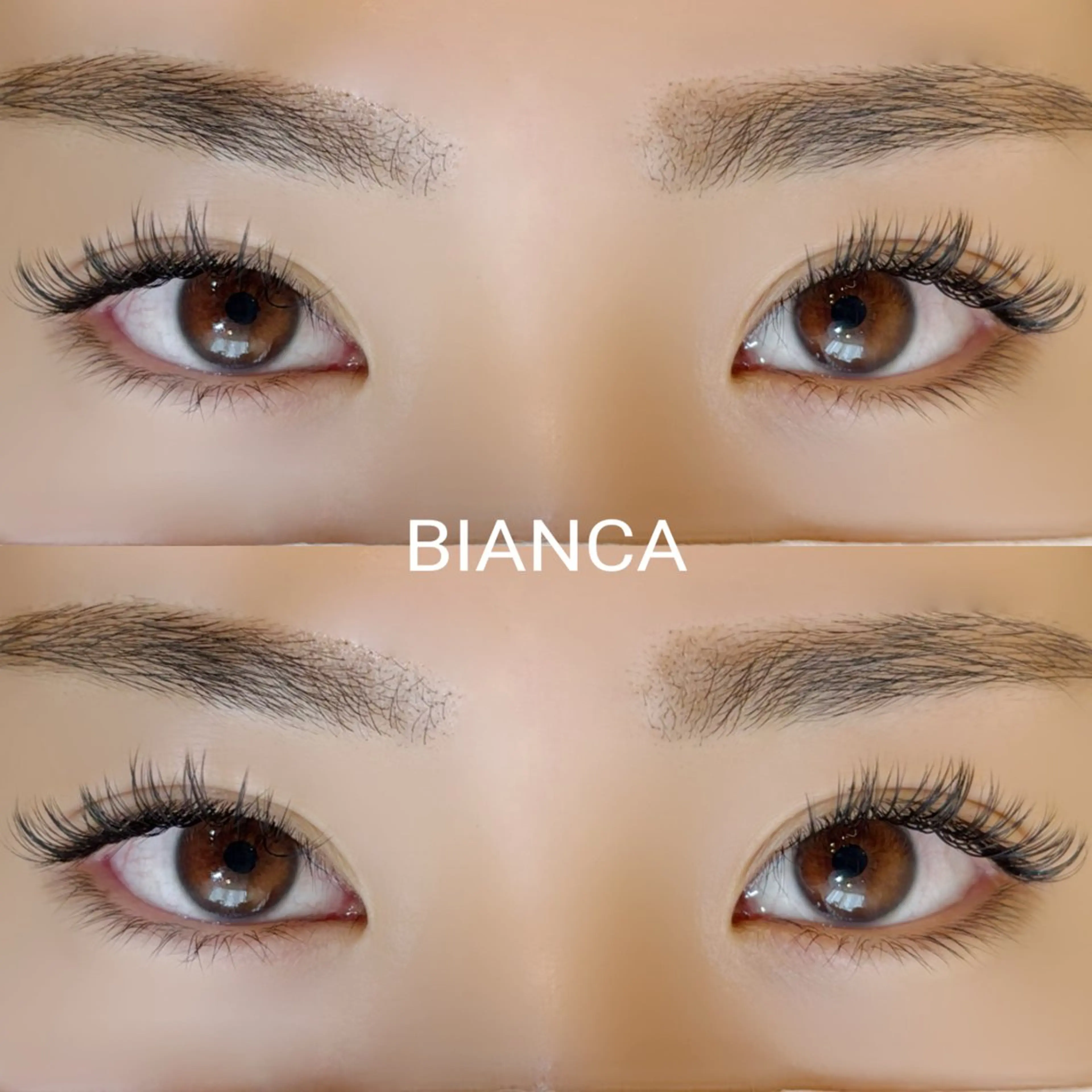 【100~120束】バインドロック🎵自まつげ1本を太く！毛先に抜け感がほしい方におすすめ✨オフ別途/再来+¥1100の写真