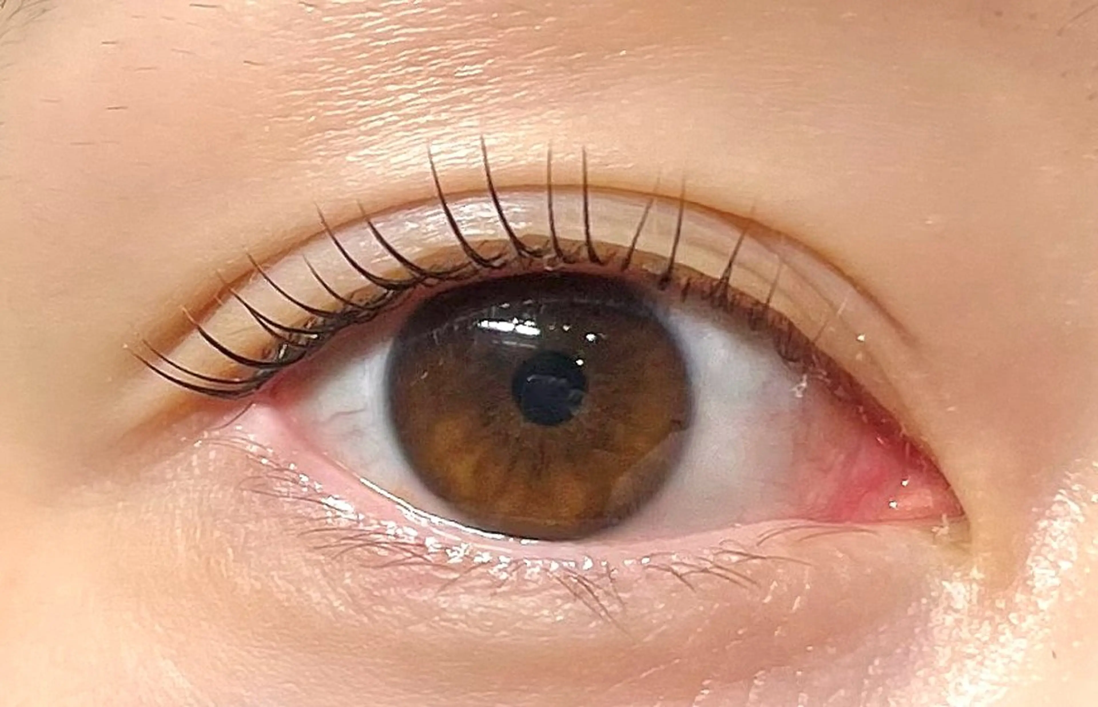 マツエク・マツパ マツパ Doluce【ドルーチェ】所属・Doluce ドルーチェのマツエク・マツパデザイン