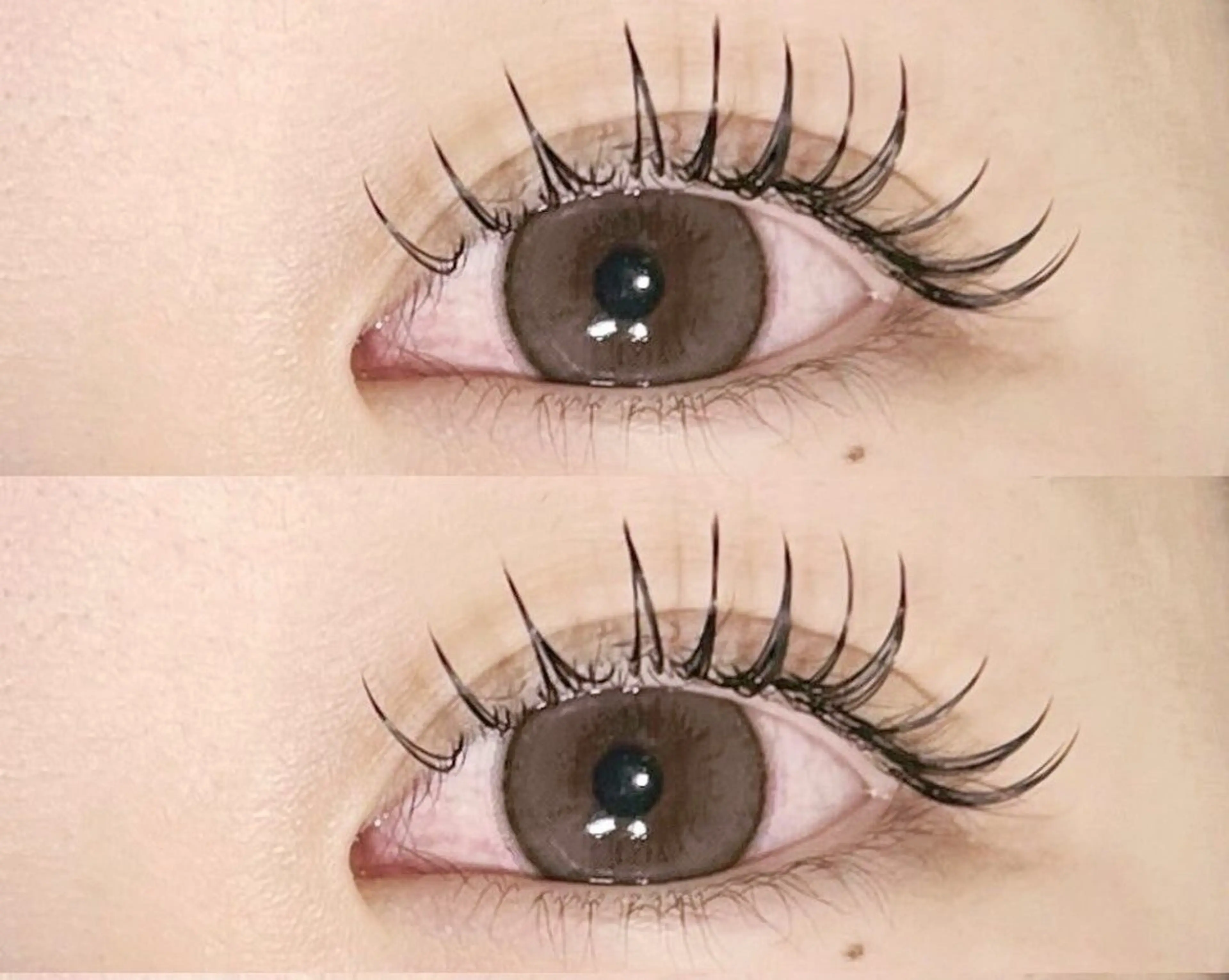 【フラットラッシュエクステ120本】の写真