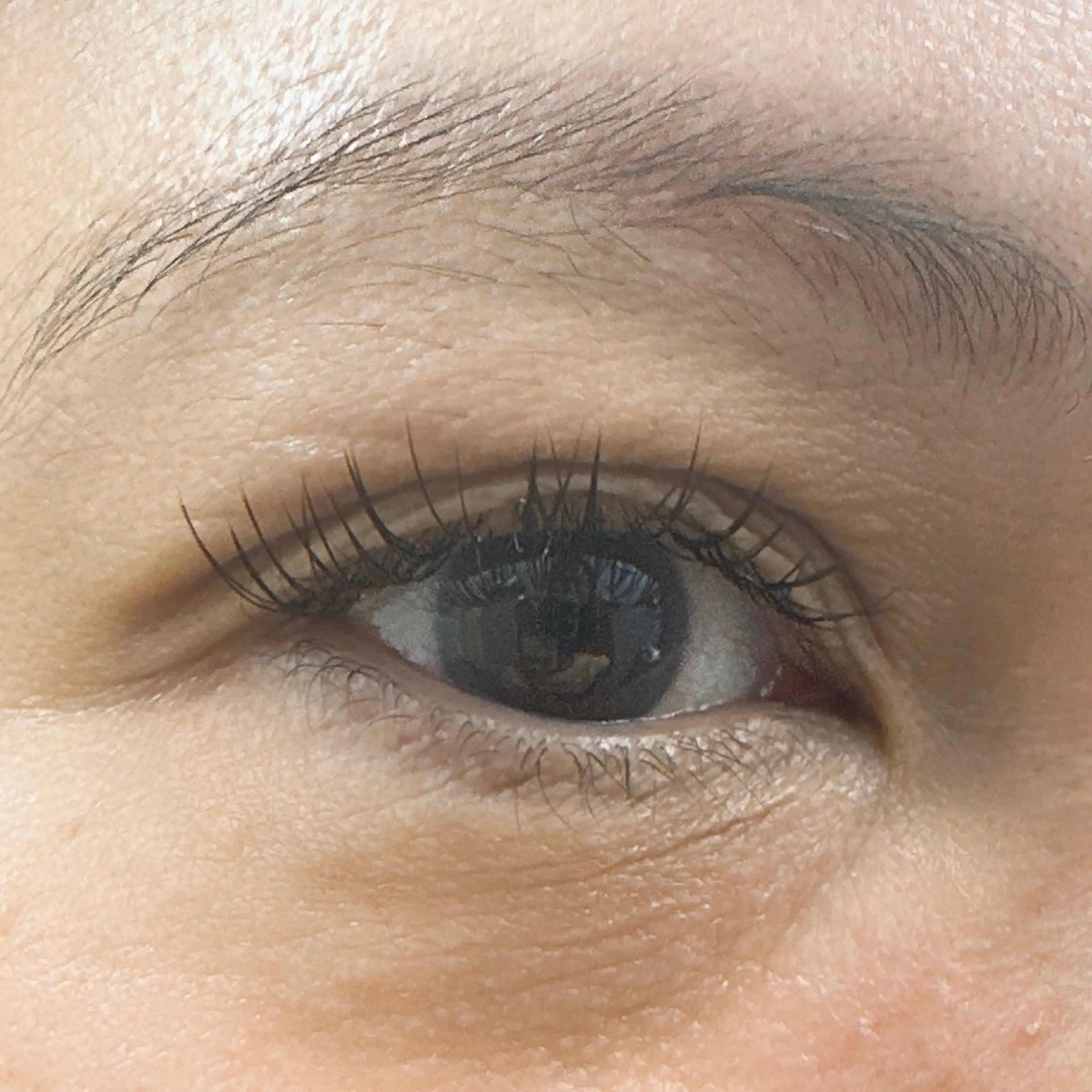 マツエク・マツパ フラットラッシュ 目尻長め マツエク Miyu🦄ash メンズカット/まつげのヘアスタイル