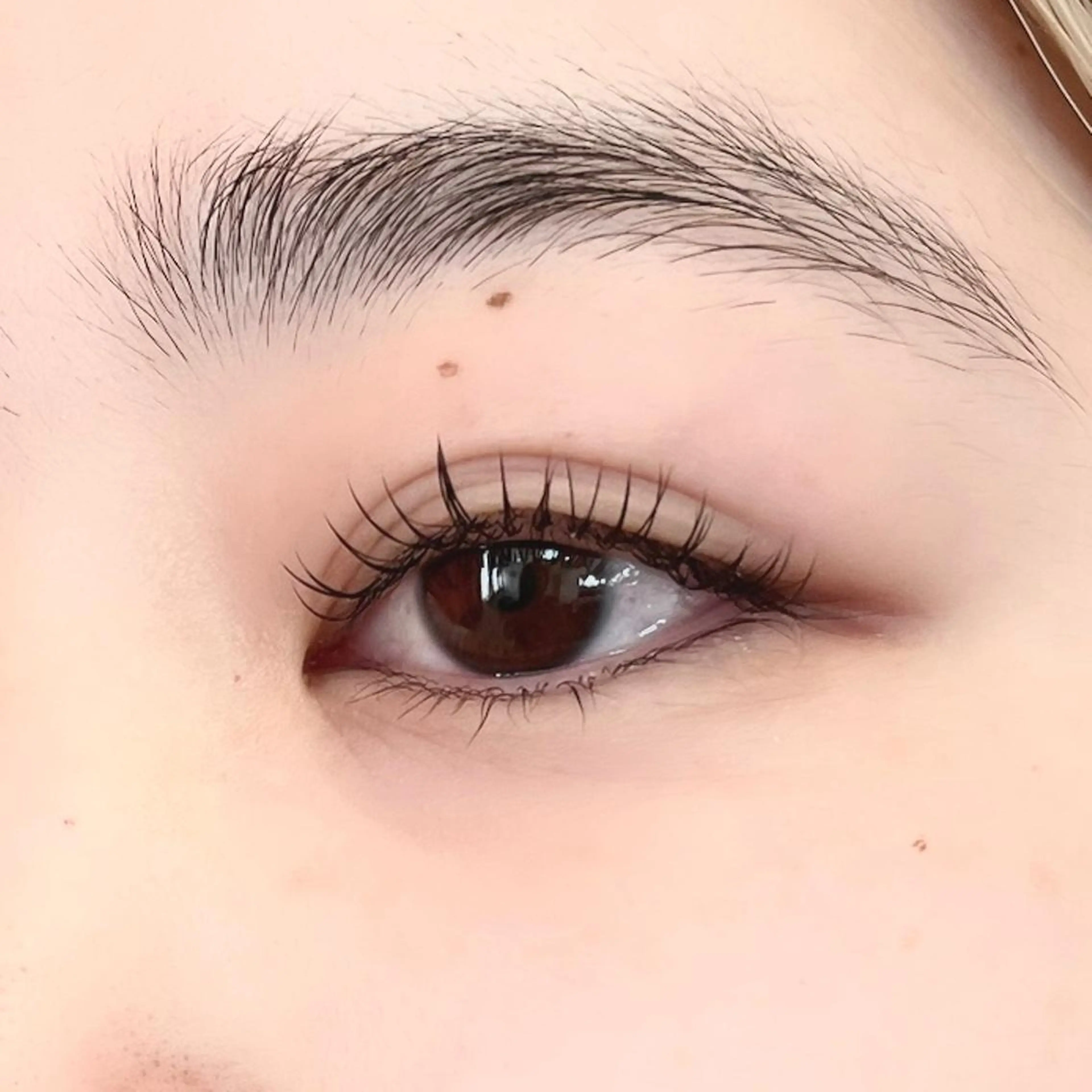 マツエク・マツパ フラットラッシュ ナチュラル マツエク 🦋平林 未莉🦋✨のマツエク・マツパデザイン