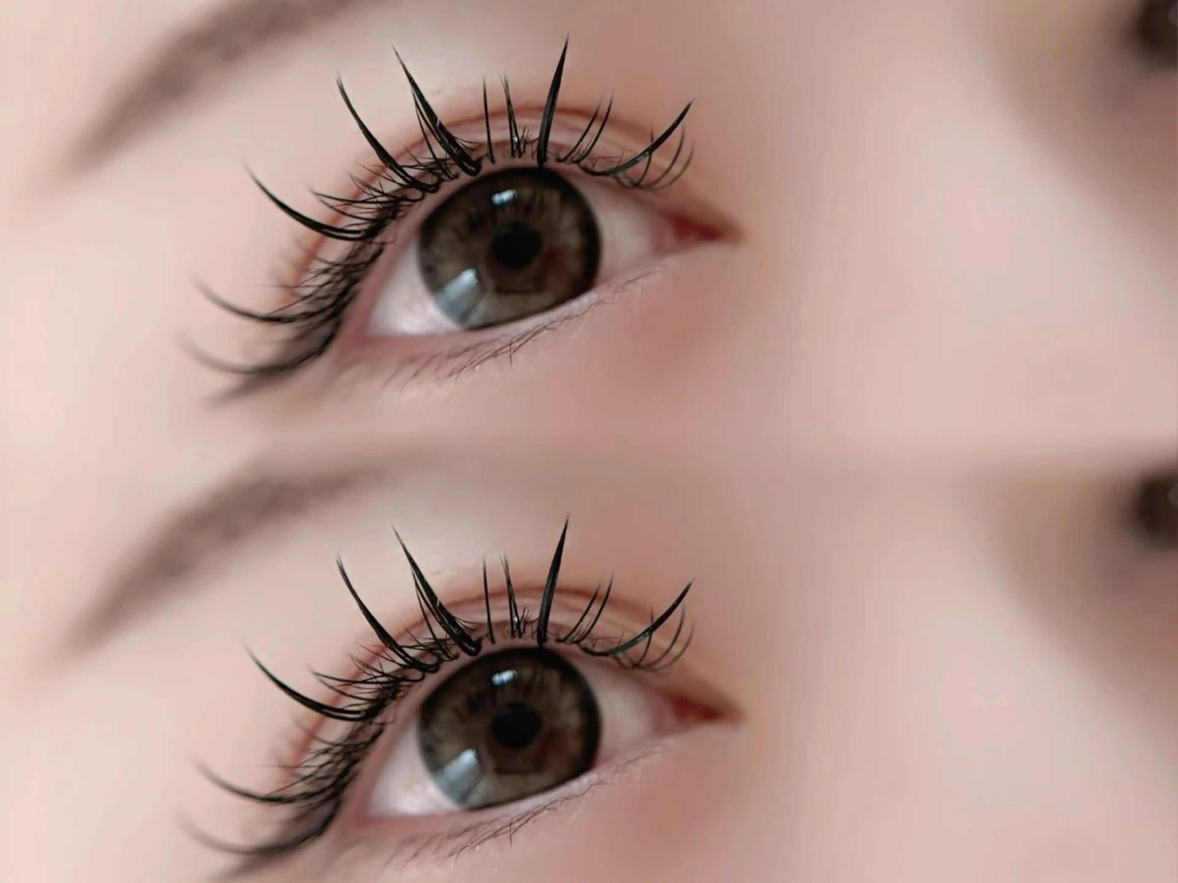 オープン記念価格👼🏻🫧フラットラッシュ🫧100本【オフ無料/LEDグルー+¥2200変更可能🫧】の写真