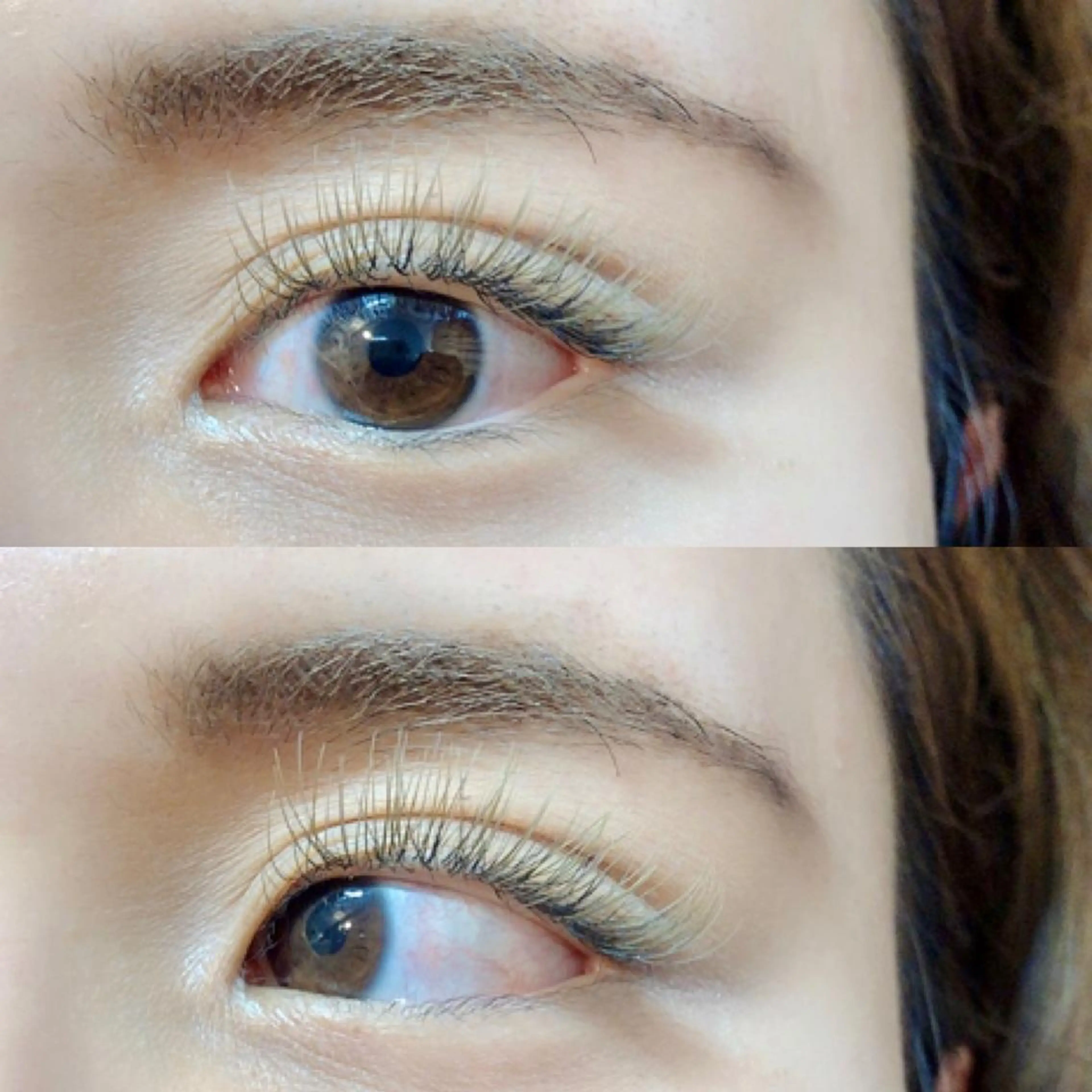 🌼全員【最高品質フラットラッシュカラー】オードリーコレクション付け放題（約160本）の写真