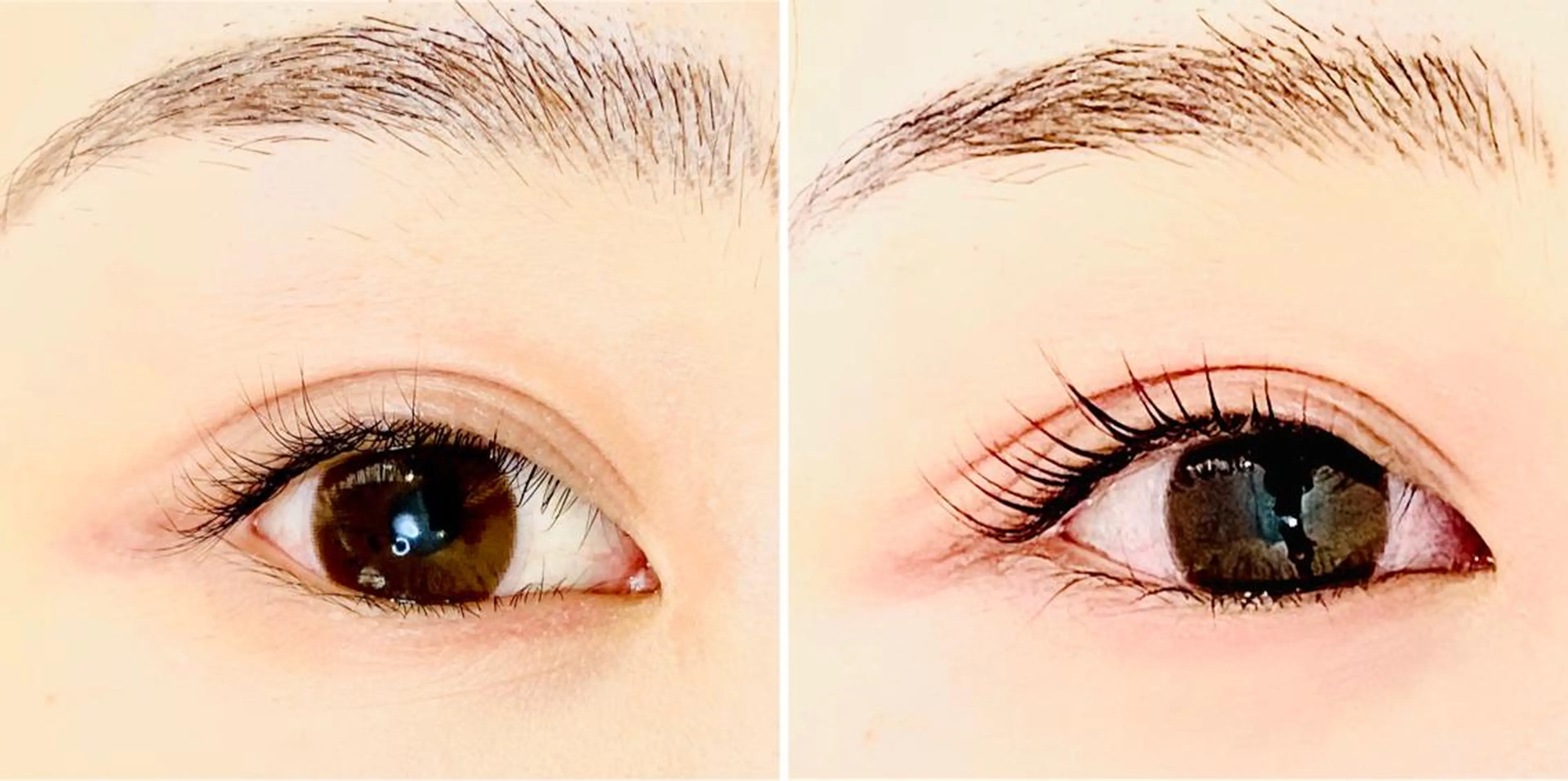 マツエク・マツパ マツパ フジ ワラのマツエク・マツパデザイン