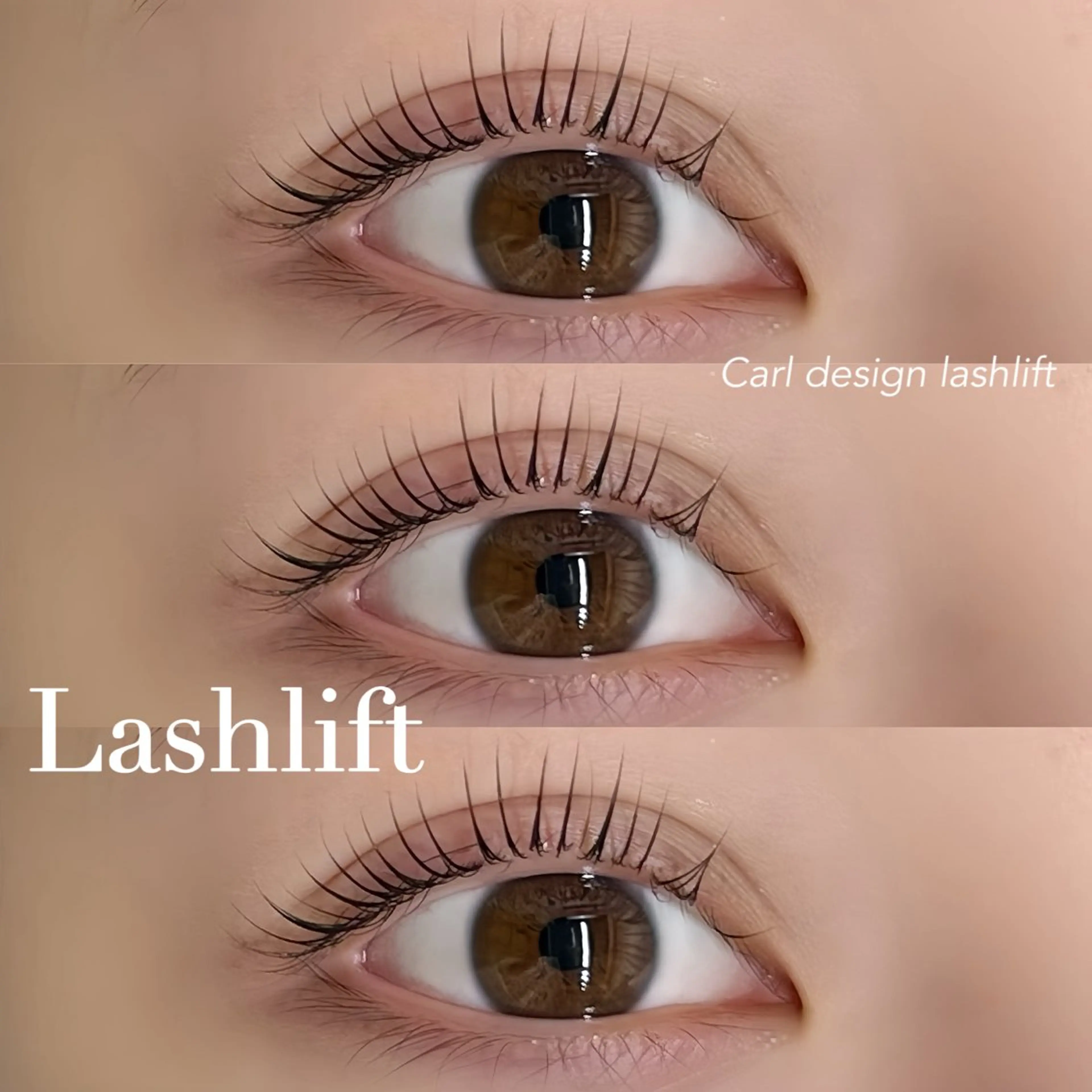 マツエク・マツパ O'L所属・Eyelash & Eyebrowのマツエク・マツパデザイン