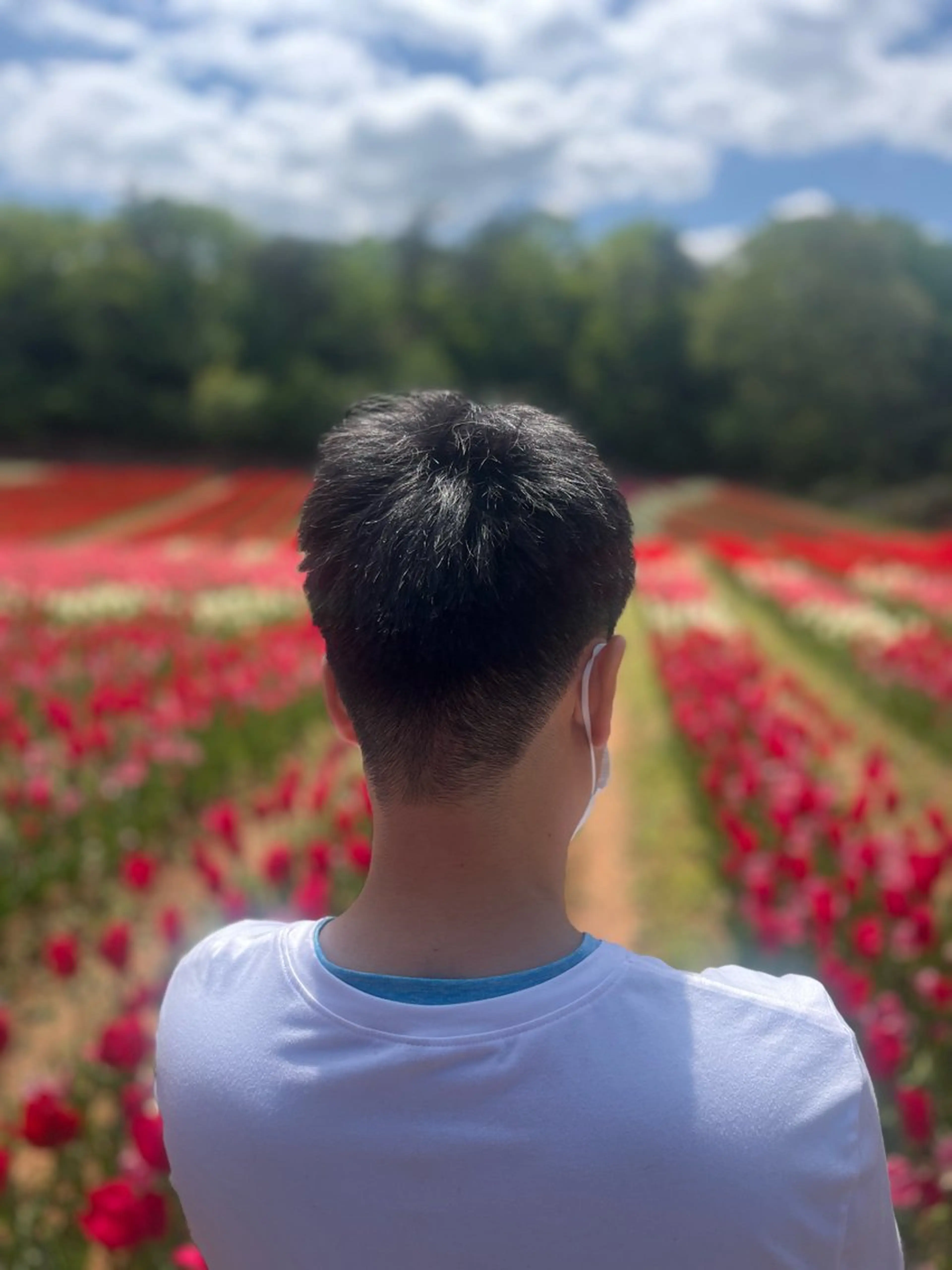 メンズカットの写真