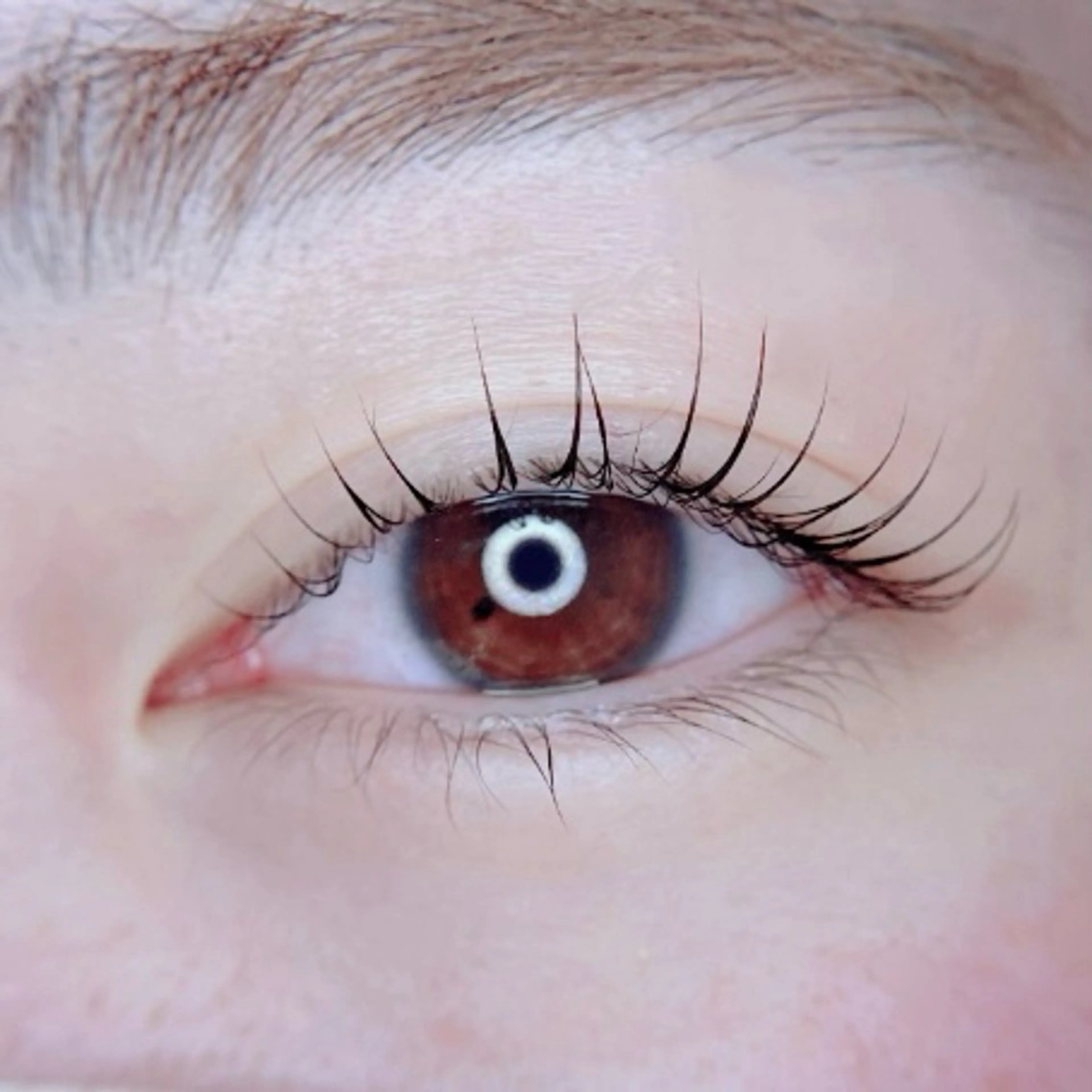 【マスカラいらず！話題の韓国ブラックティントでケア+まつ毛の濃さup☆】の写真